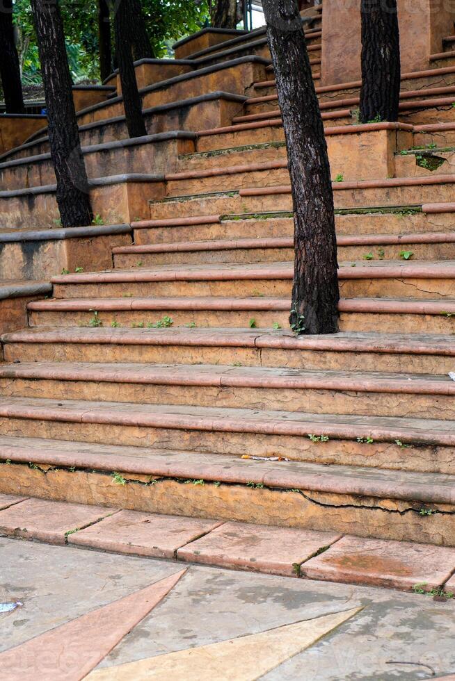 árvores crescendo em a passos do uma cidade parque. foto