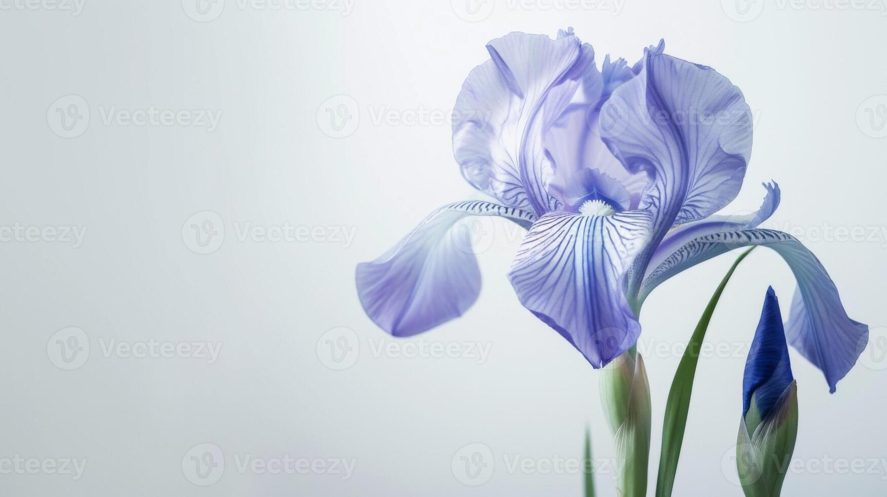 roxa íris flor dentro flor exibindo delicado beleza e botânico elegância com foco suave pétalas foto