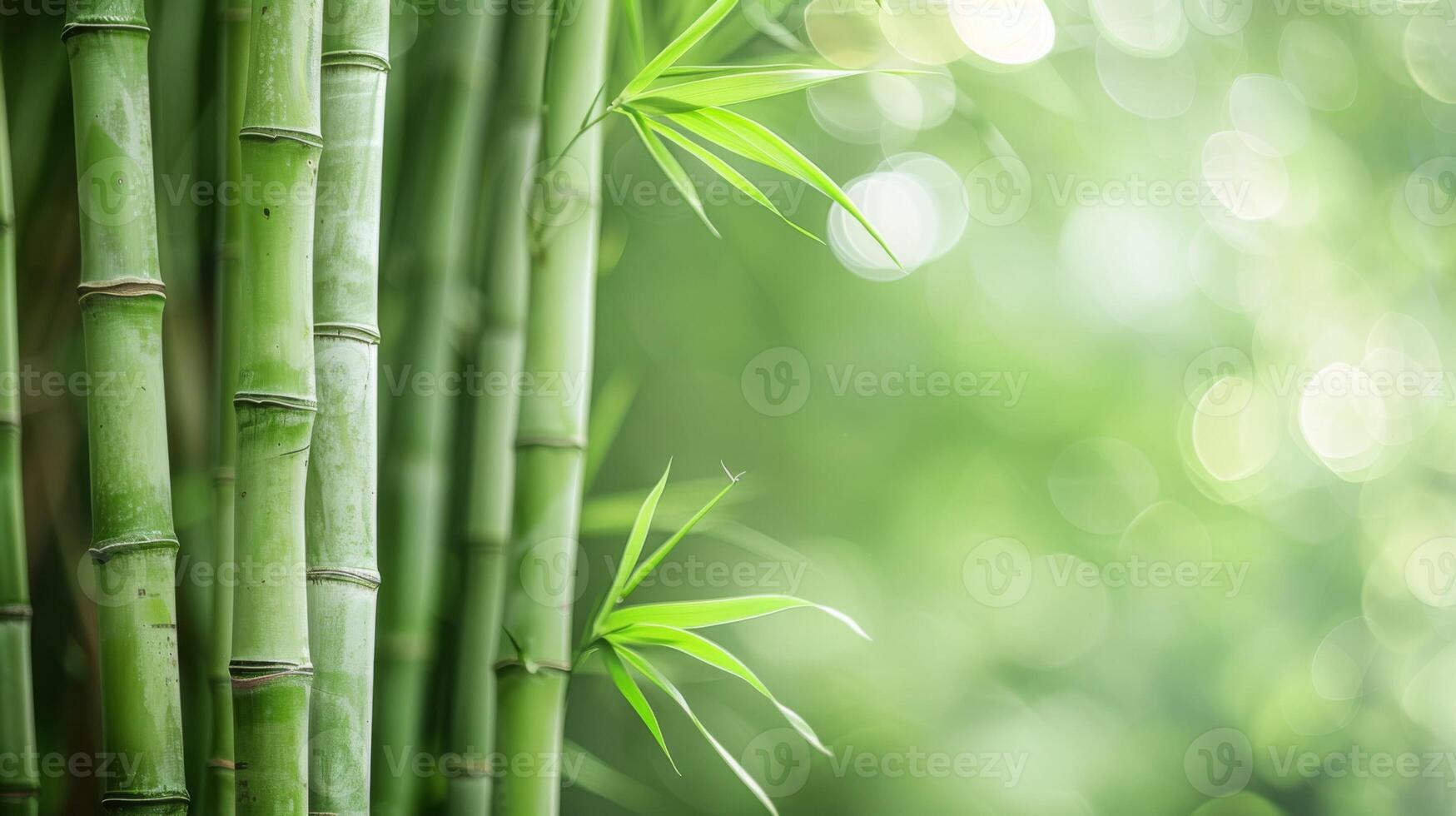 bambu dentro verde natureza com plantas e bokeh criando uma tranquilo meio Ambiente foto