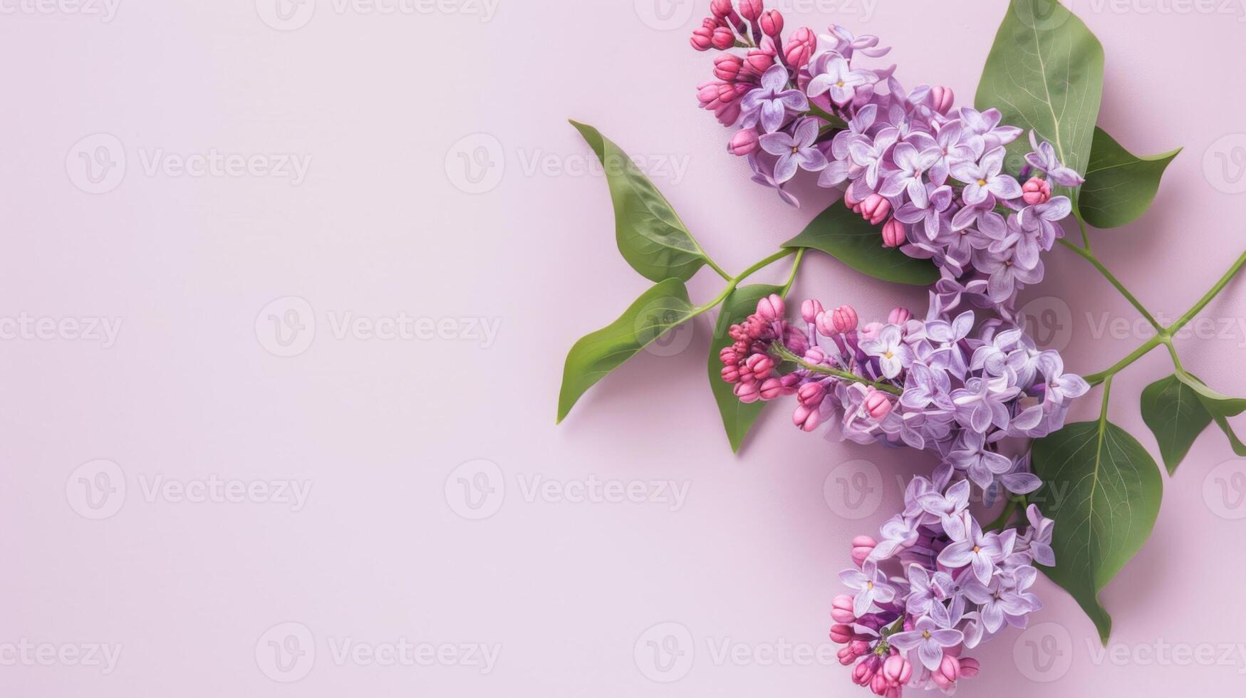 florescendo roxa lilás flores com fresco verde folhas em pastel fundo foto