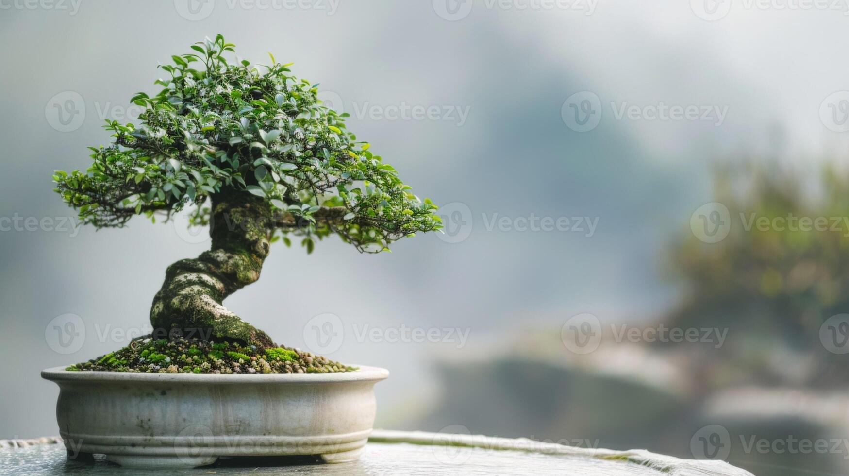 bonsai árvore dentro Panela exibindo arte do horticultura e sereno japonês jardinagem foto