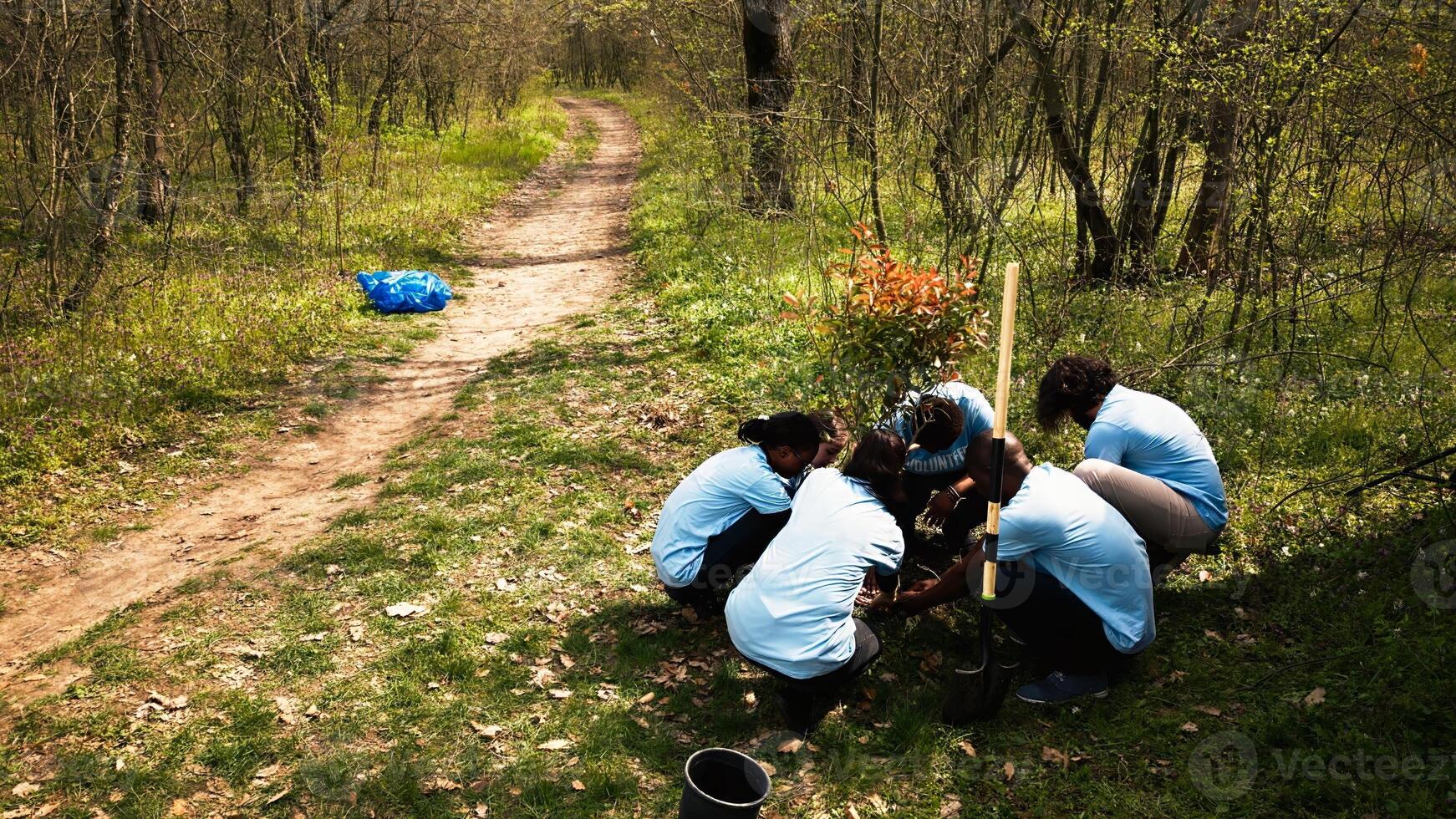 zangão tiro do voluntários grupo plantio árvores e preservando natureza, crescendo mudas juntos e limpeza a ambiente. ecológico ativistas jardinagem, habitat cultivo. Câmera uma. foto