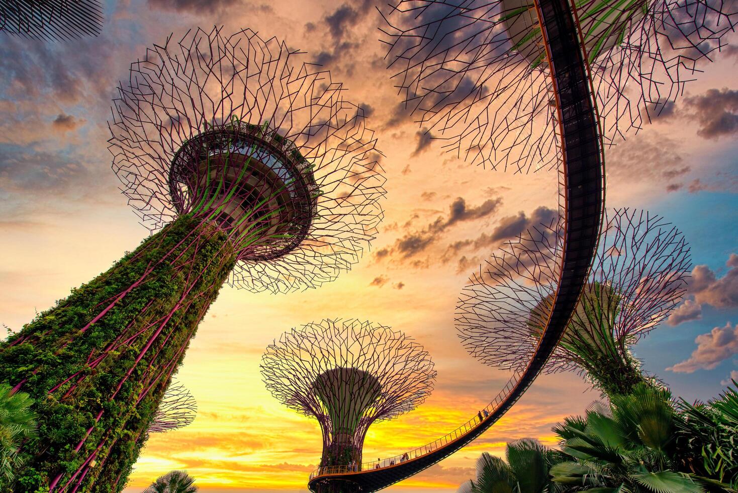 superárvore Arvoredo em azul céu dentro a jardim de a baía às pôr do sol, Cingapura. foto