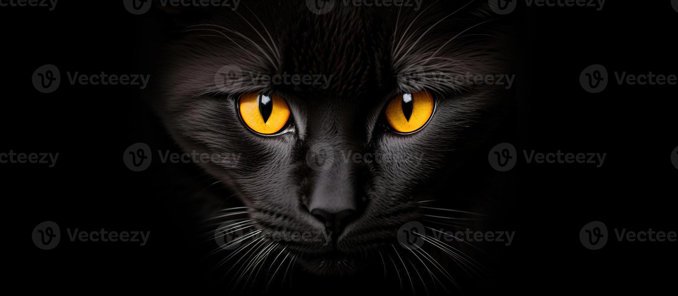 Preto gato com amarelo olhos em uma Preto fundo bandeira foto