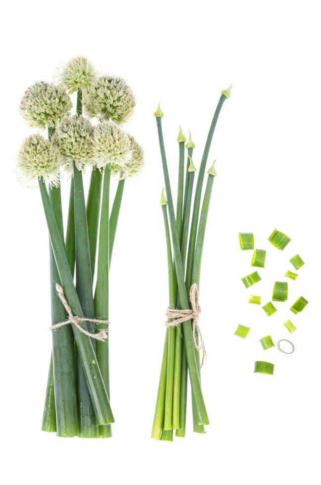 flechas de cebola verde cortadas frescas isoladas em branco foto