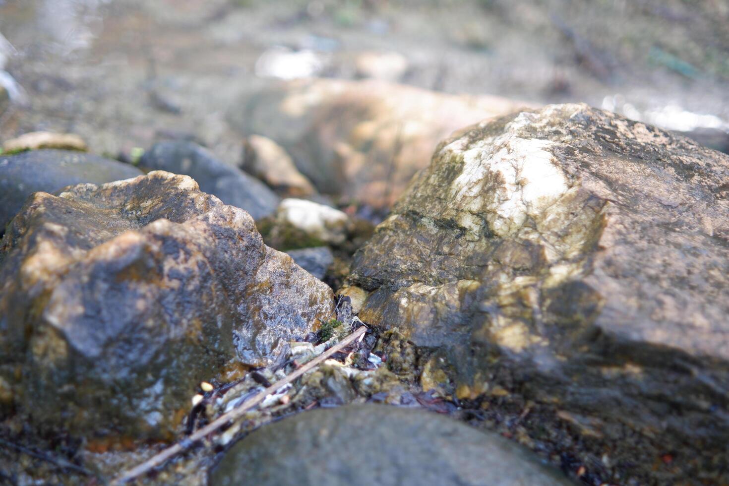 fotografia do fechar acima do branco musgoso pedras dentro a rio foto