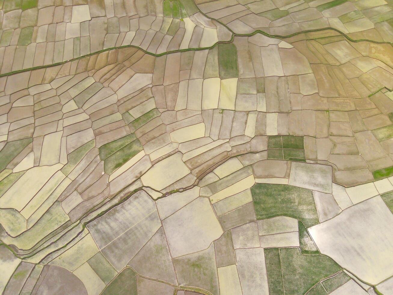 cikancung arroz terraços. abstrato e geométrico aéreo zangão Visão do agricultura Campos. Visão a partir de acima, tropical verde fundo. acima. agricultura indústria. tiro a partir de zangão vôo 100 metros foto