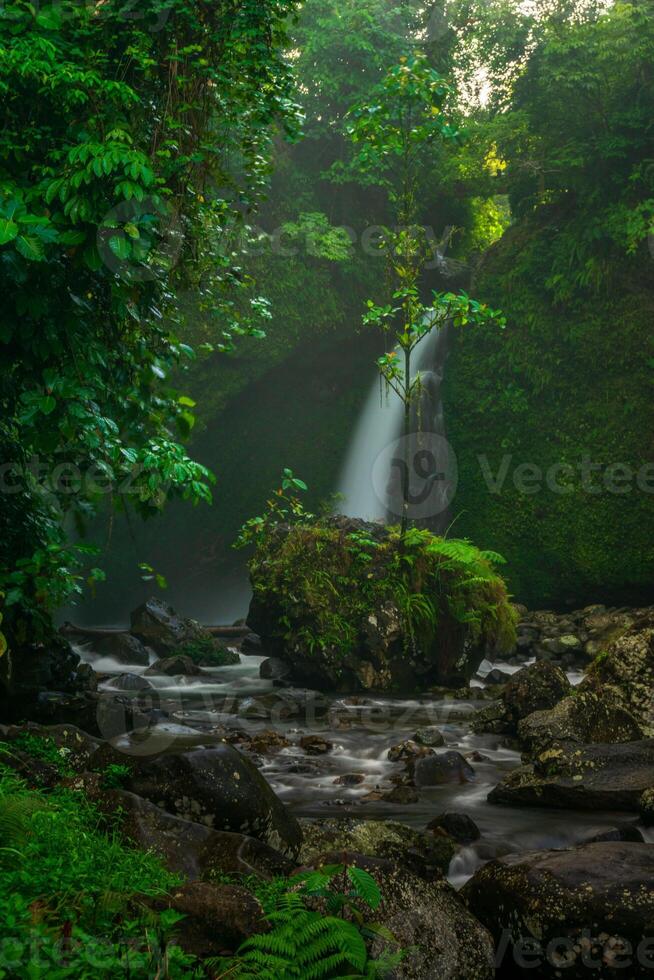 lindo manhã Visão a partir de Indonésia do montanhas e tropical floresta foto