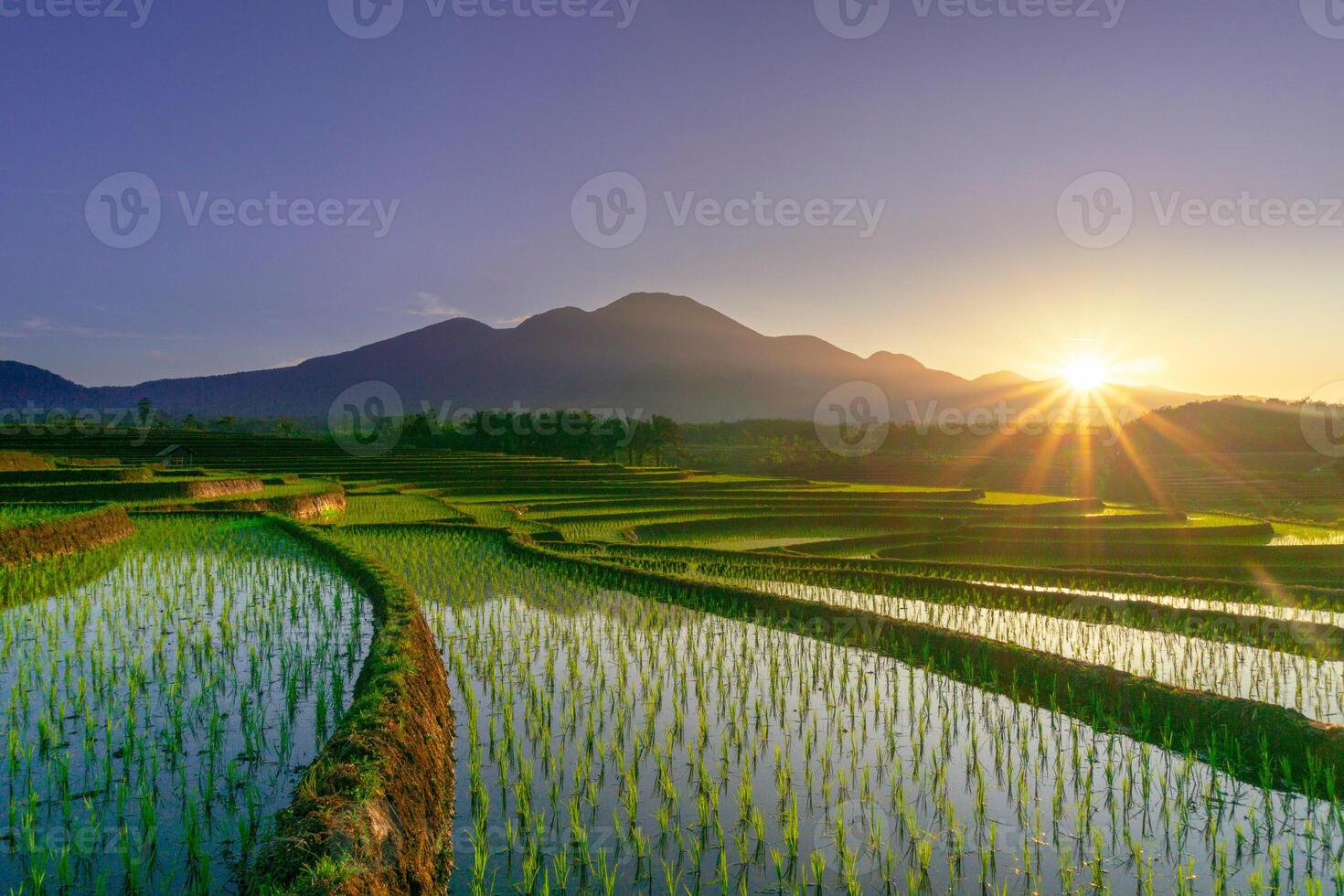 Visão do Indonésia dentro a manhã, verde arroz Campos, Sol Aumentar brilhantemente sobre a montanha foto