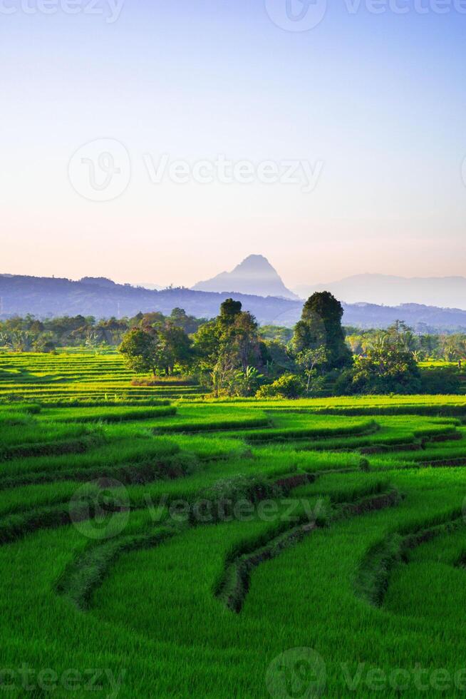 lindo manhã Visão a partir de Indonésia do montanhas e tropical floresta foto