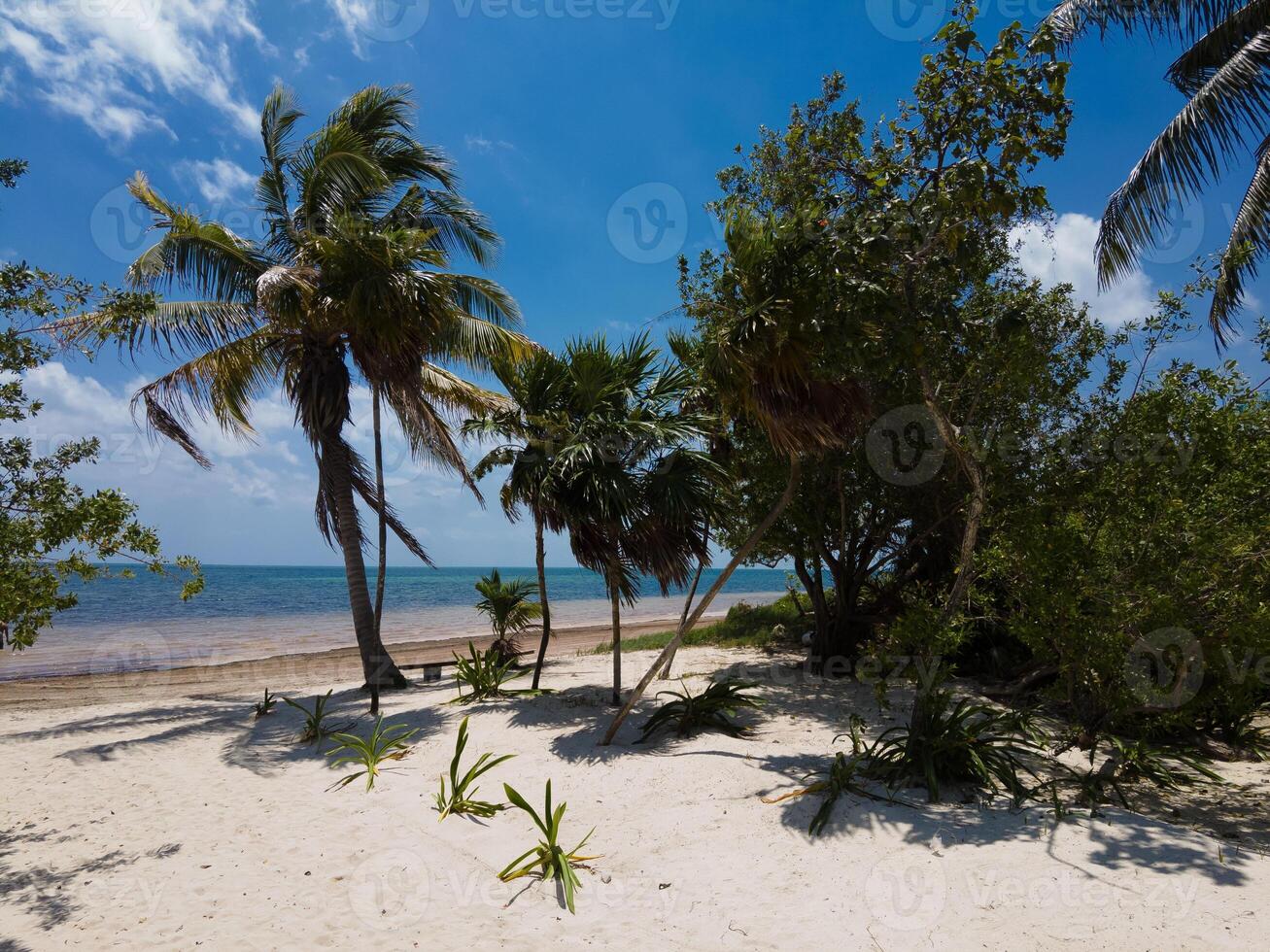 el mirador 2 público de praia dentro Cancun foto