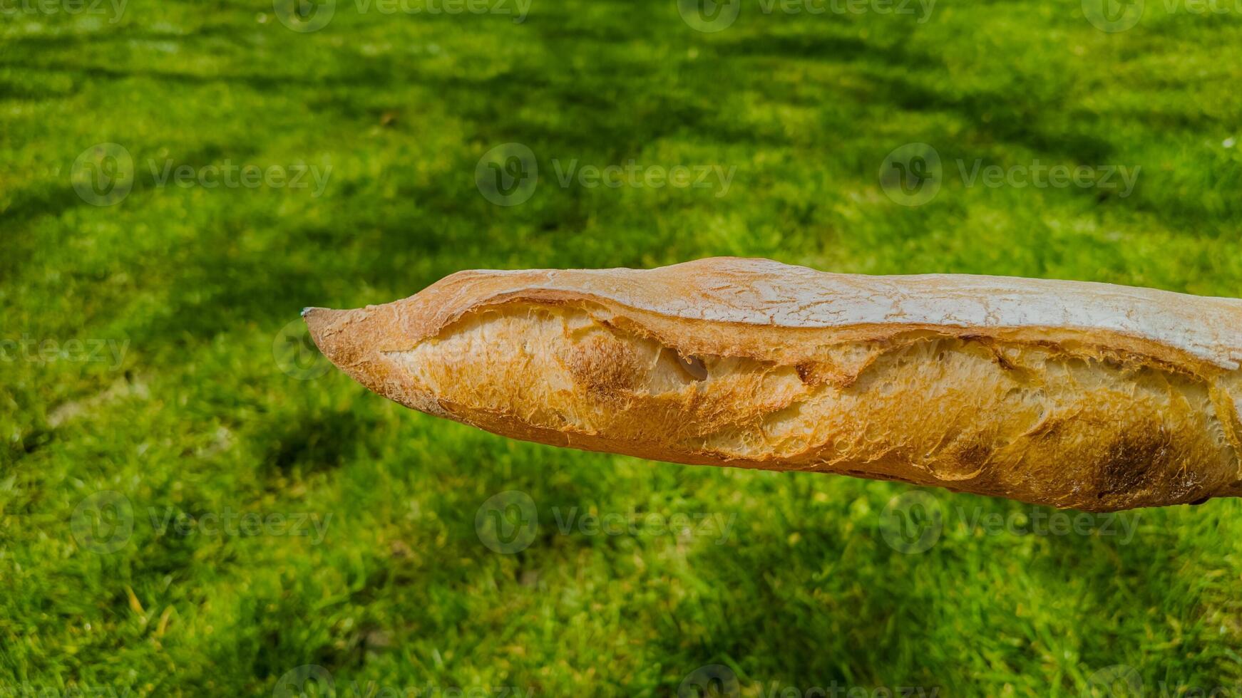 dourado crocantes baguete flutuando contra uma exuberante verde gramado fundo, evocando conceitos do francês cozinha e piqueniques dentro horário de verão foto