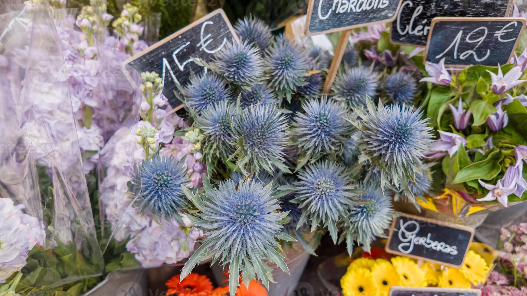 sortido fresco flores com preço Tag às uma europeu mercado, exibindo vibrante eríngeo, simbolizando mães dia e floral arranjo conceitos foto