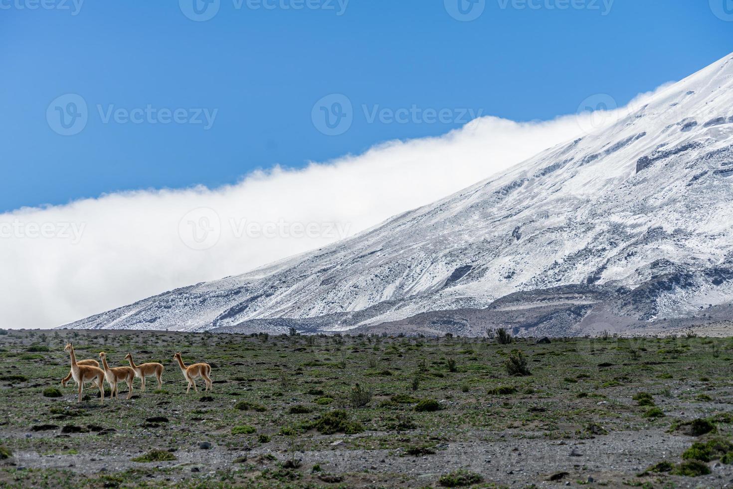 vulcão chimborazo, equador foto