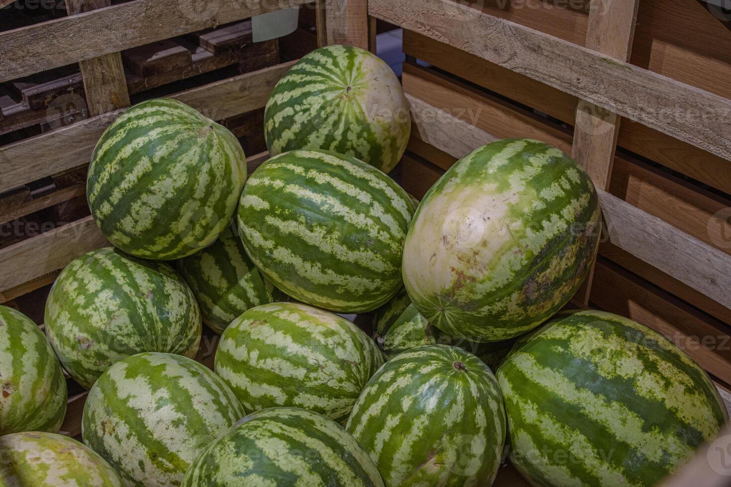 melancias dentro a de madeira recipiente em supermercado prateleira. Melancia em rua mercado. verão frutas para saudável dieta. fresco orgânico água Melão fruta para venda dentro mercearia loja. seletivo foco foto