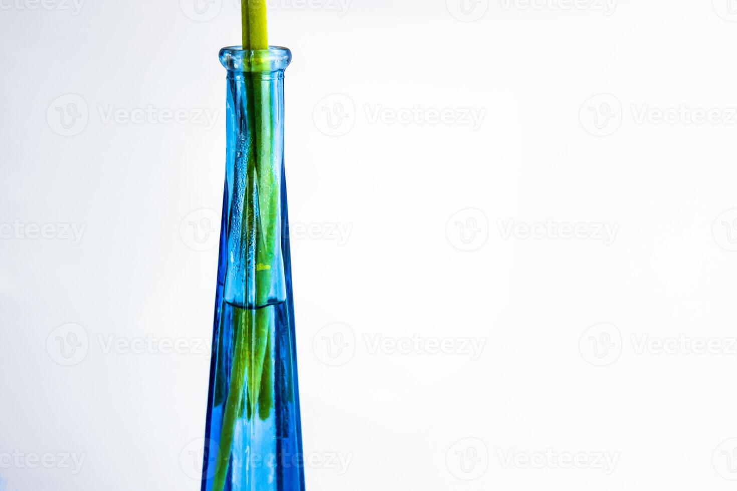 fechar-se do lindo moderno flor vaso isolado em branco fundo com verde flor hastes dentro a água. cortada detalhe do real azul vidro garrafa com limitar gargalo. moderno Projeto. cópia de espaço foto