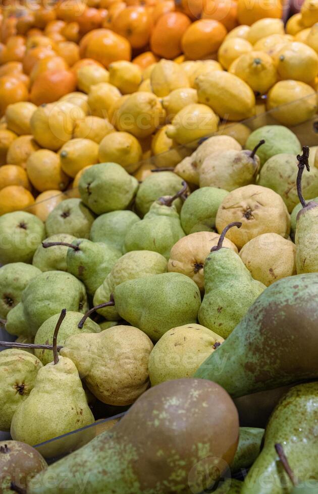 sortimento do fresco frutas arranjado dentro a mercearia loja em a contador. laranjas, limões peras, maçãs em Comida mercado prateleira. variedade do frutas vendido dentro a loja. lado visualizar. seletivo foco. foto