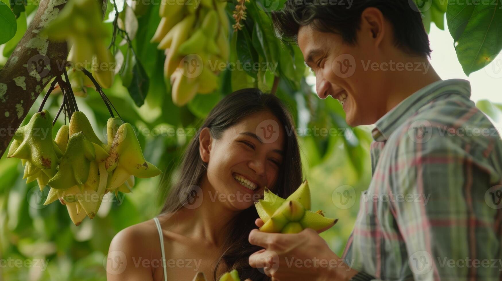 uma jovem casal Colheita manual carambolas a partir de uma densamente embalado árvore seus riso ecoando através a quieto Pomar foto