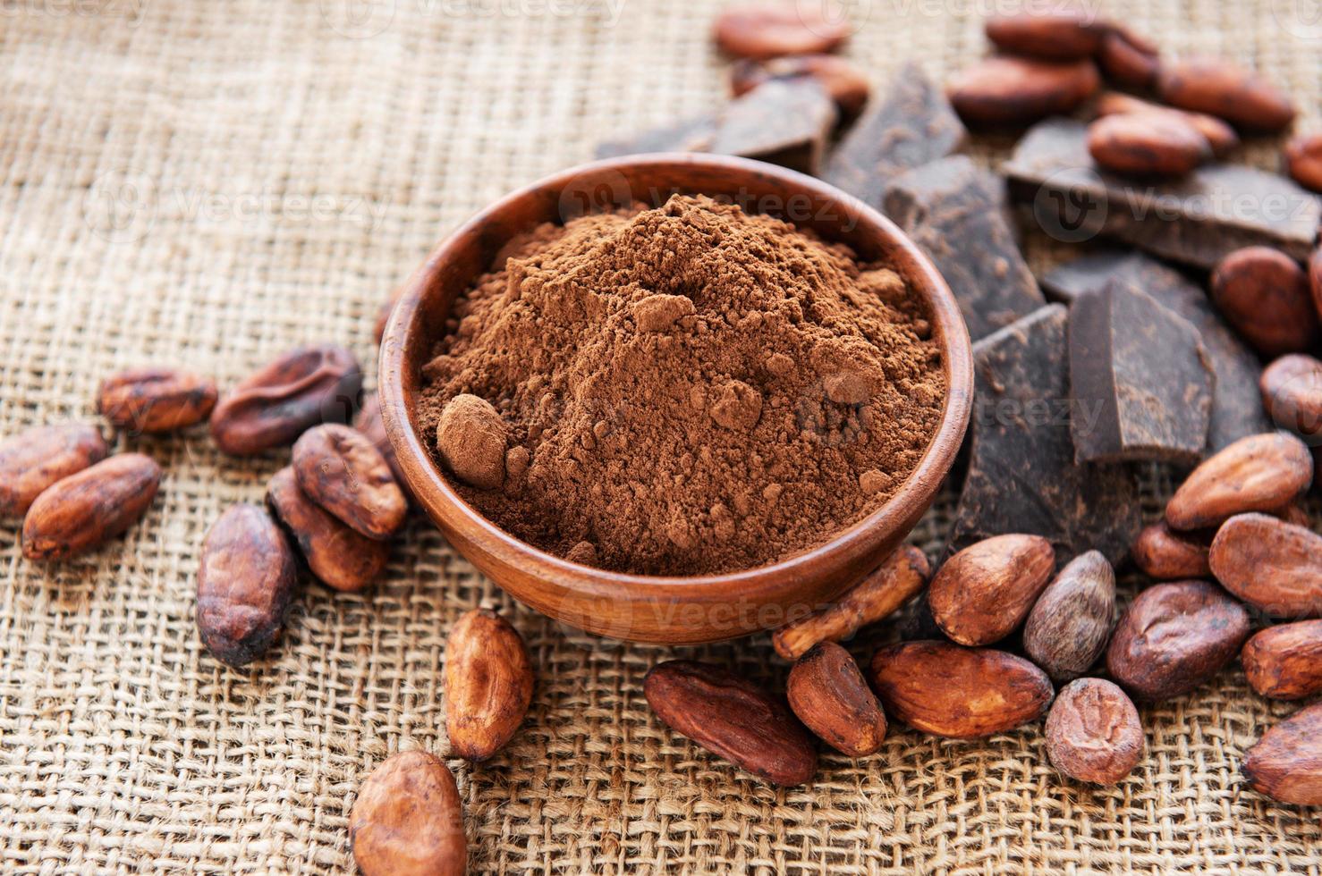 cacau em pó, chocolate e feijão foto