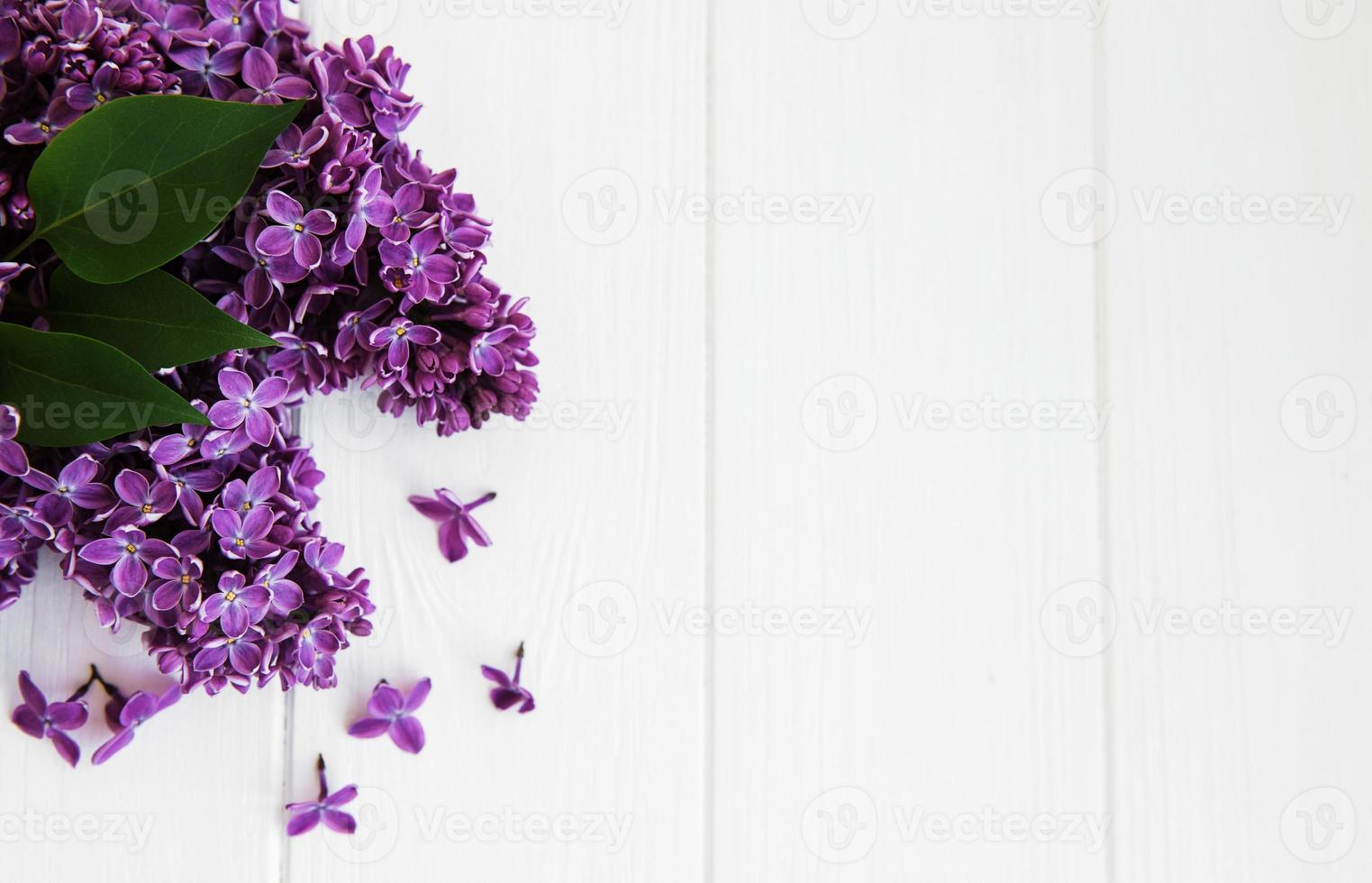 flores lilás em uma mesa foto