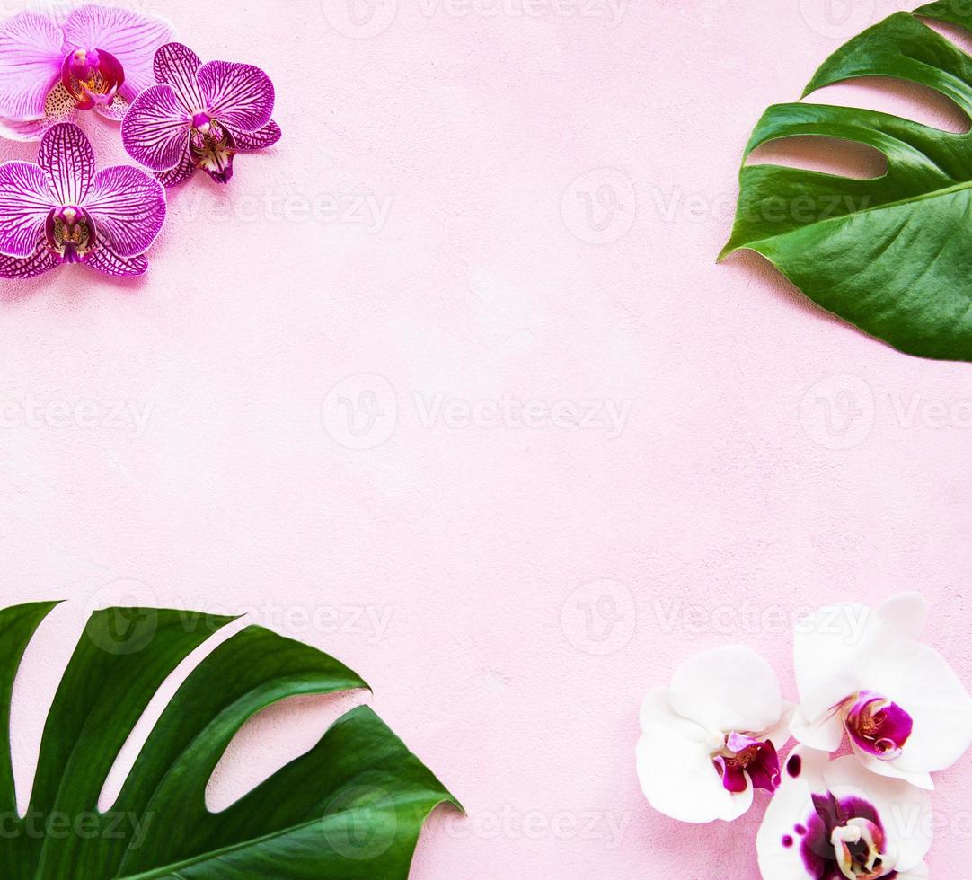 folhas tropicais monstera e flores de orquídea foto
