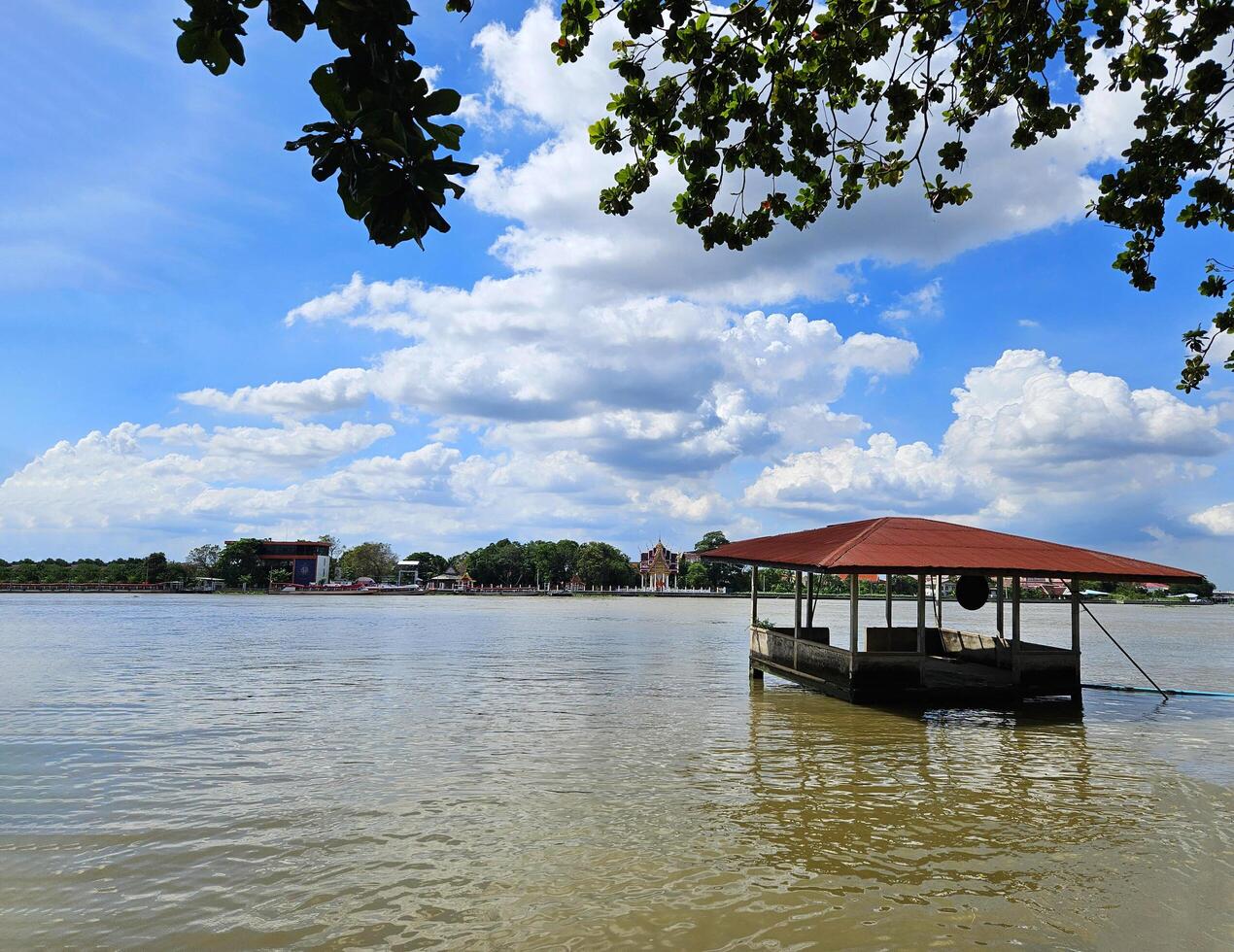 Visão do a chao phraya rio com casas ou pavilhões inundado dentro rio com azul céu e nuvem fundo e ramo do árvore primeiro plano às nonthaburi, tailândia. paisagem, natureza e construção. foto