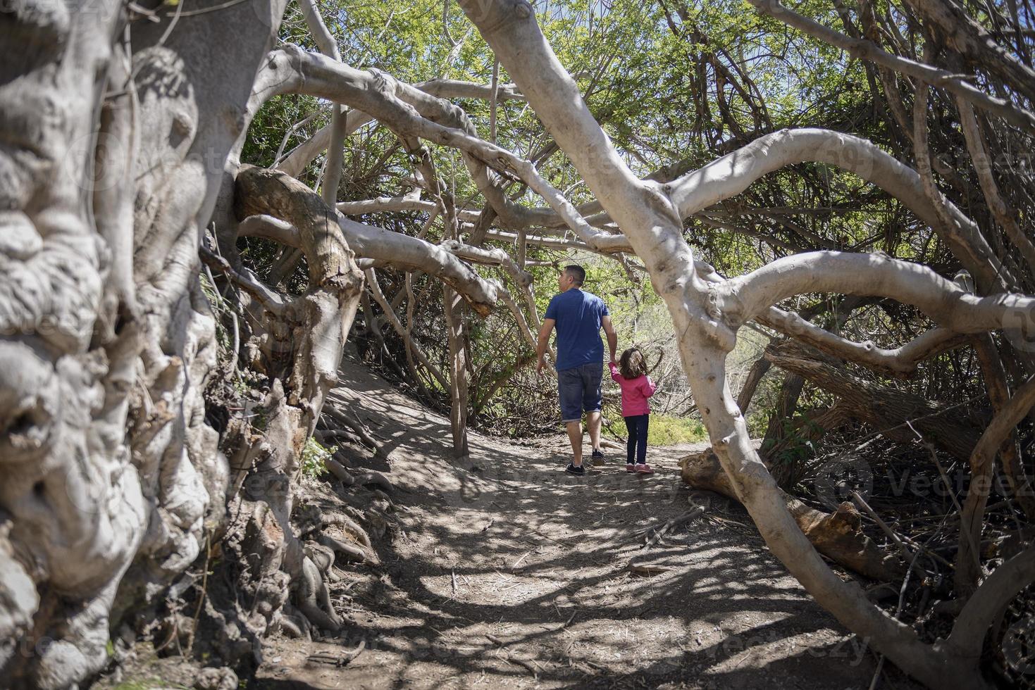 pai e filha caminhando por um caminho em um pântano foto