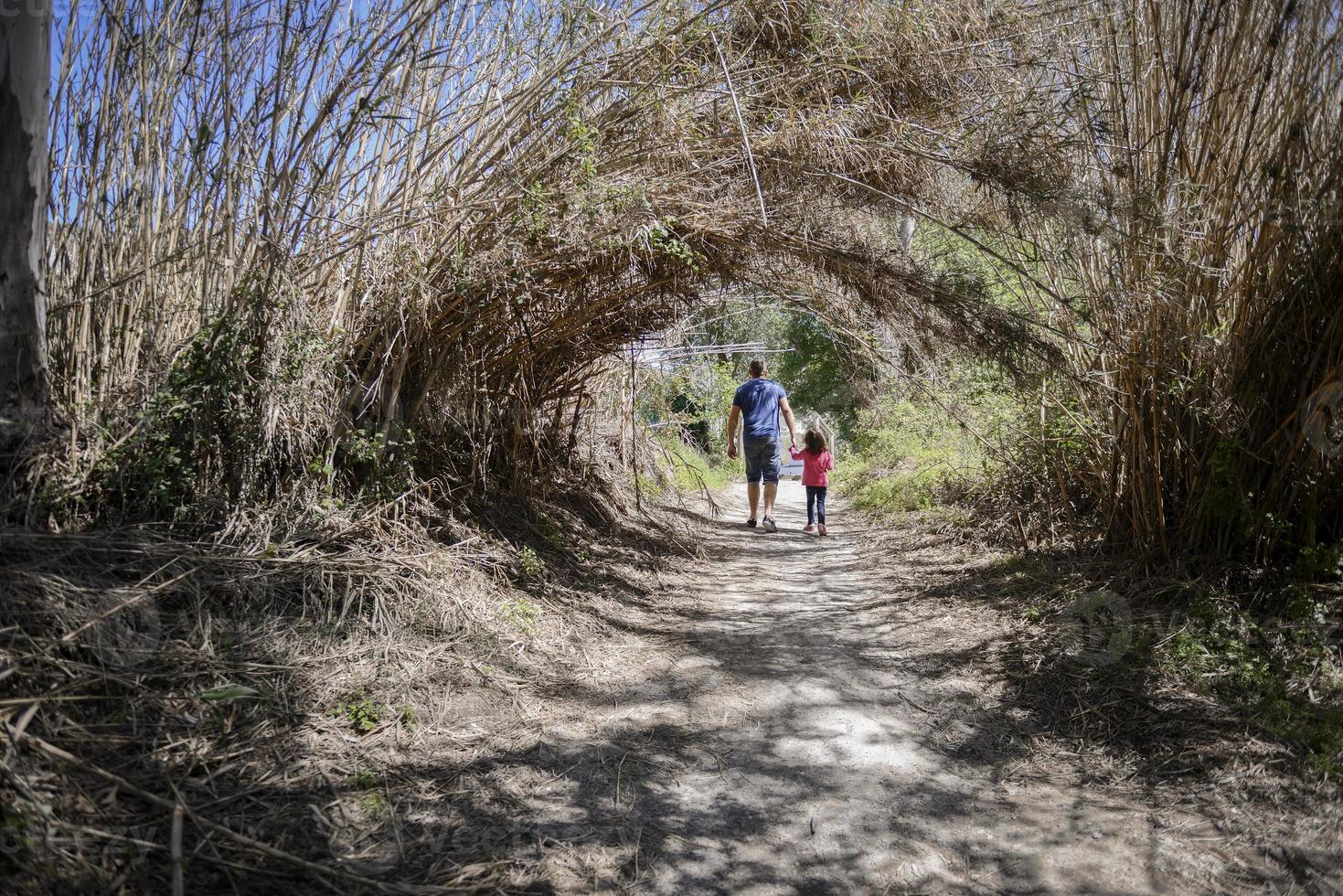 pai e filha caminhando por um caminho em um pântano foto
