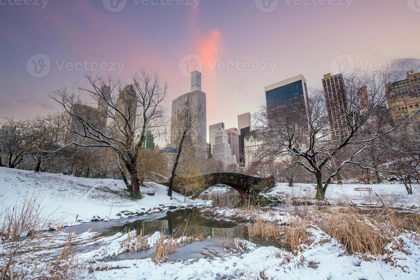 ponte gapstow no inverno, central park new york city foto