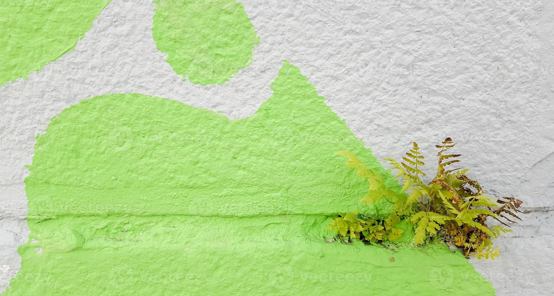 grama verde em um fundo de parede de concreto cinza, superfície de parede irregular e grama, imagem de fundo. parede de concreto cinza com textura de piso de grama para o projeto de plano de fundo. foto