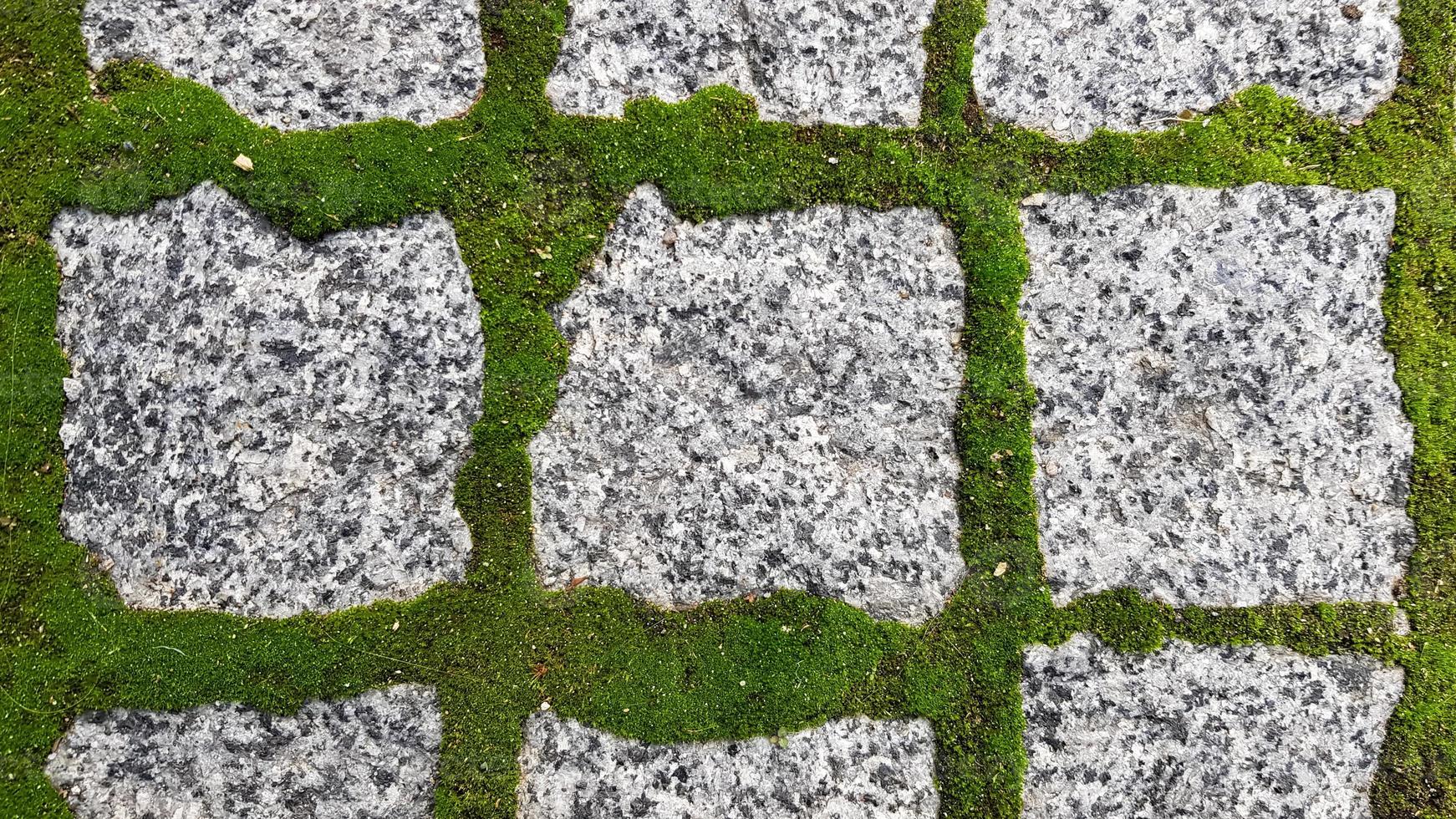 a textura do ladrilho pavimentado da rua. lajes de pavimentação de concreto. Lajes para pavimento. grama entre as lajes. textura de lajes de pavimentação cobertas de grama. imagem de fundo de uma pedra estrato foto