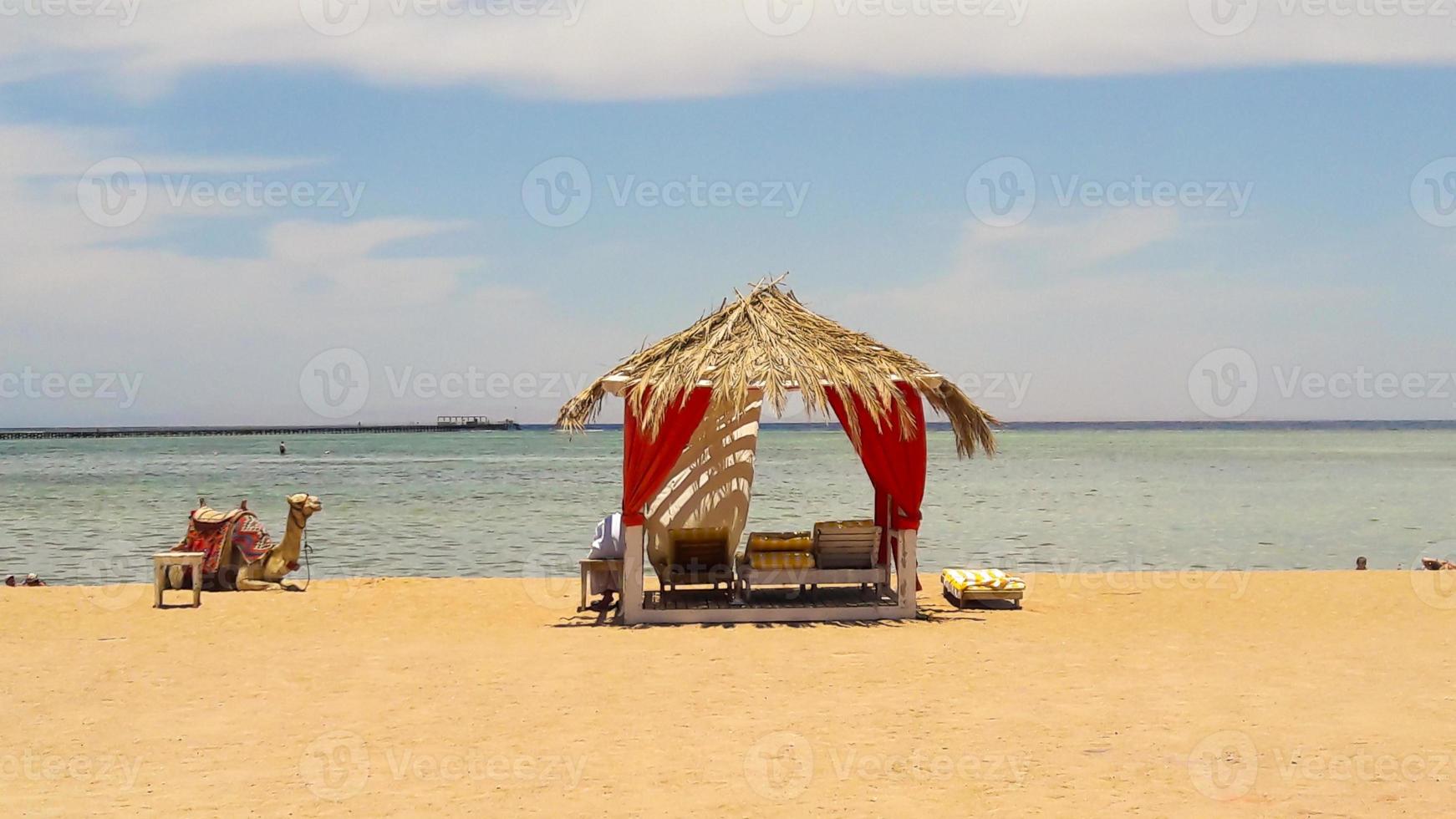 luxuosas tendas de palha em estilo árabe no mar vermelho e camelos no resort egípcio de sharm el sheikh. conceito de praia de verão, design para relaxamento e tranquilidade. foto