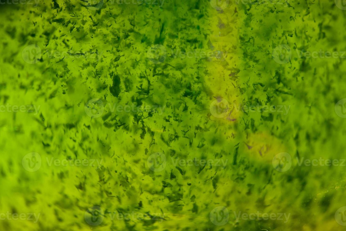 macro textura de suco de grama de trigo foto