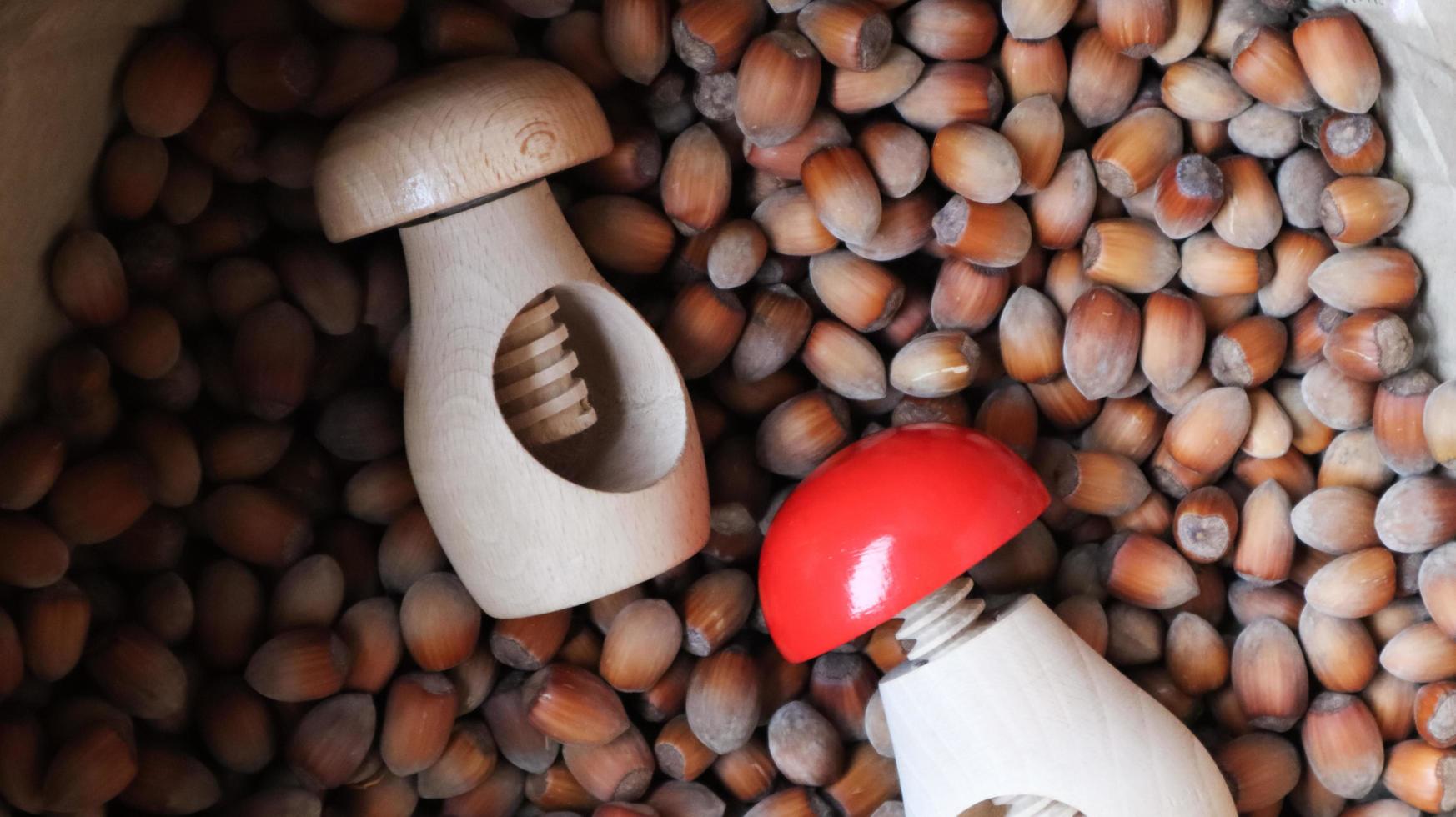 muitas avelãs na serapilheira com um quebra-nozes de madeira em forma de cogumelo. fundo de comida de avelãs. um grande número de nozes em um saco com biscoitos. picador de nozes e alimentos crus saudáveis. foto