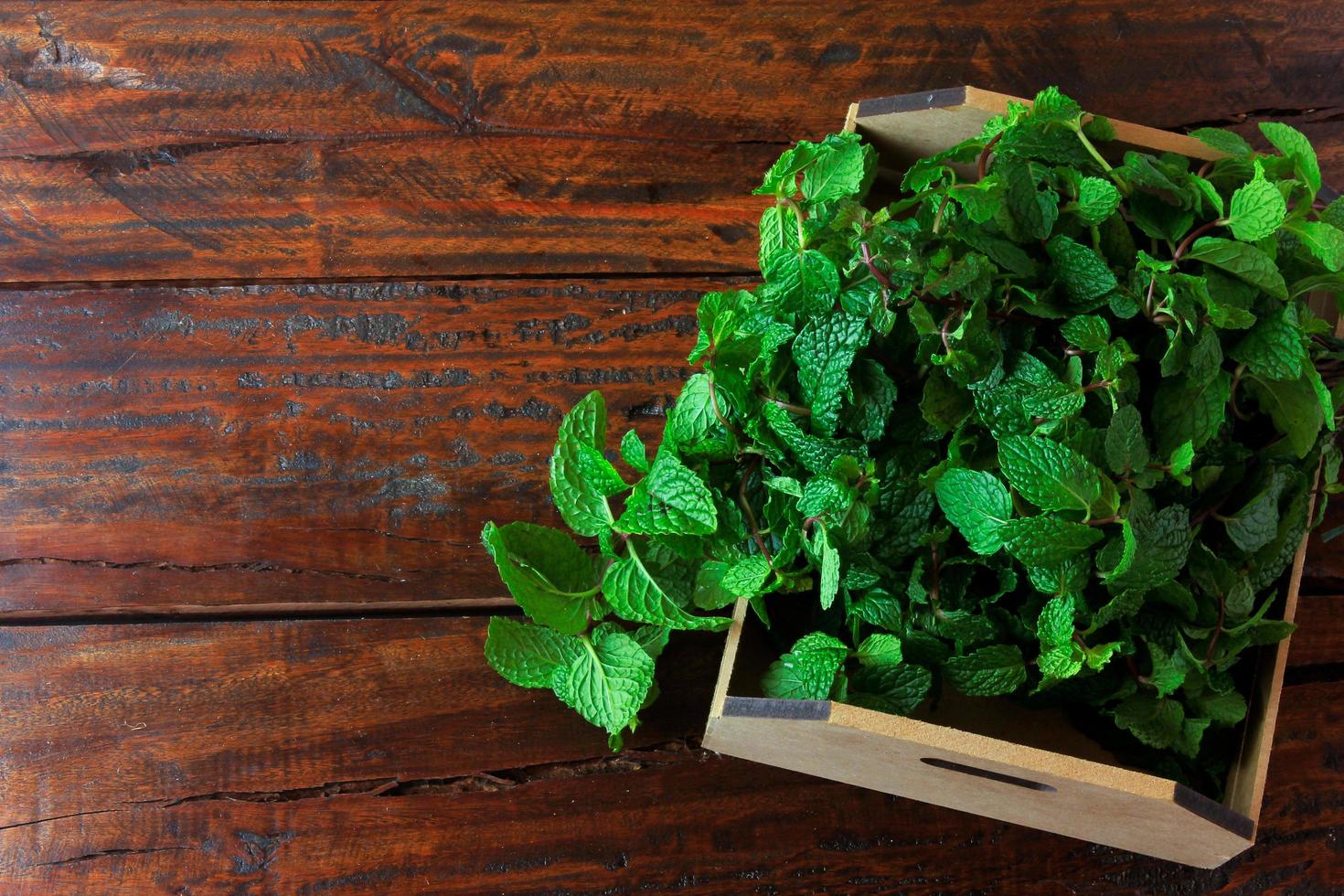 grupo de hortelã fresca orgânica verde na cesta sobre a mesa de madeira rústica. hortelã-pimenta aromática com usos medicinais e culinários foto