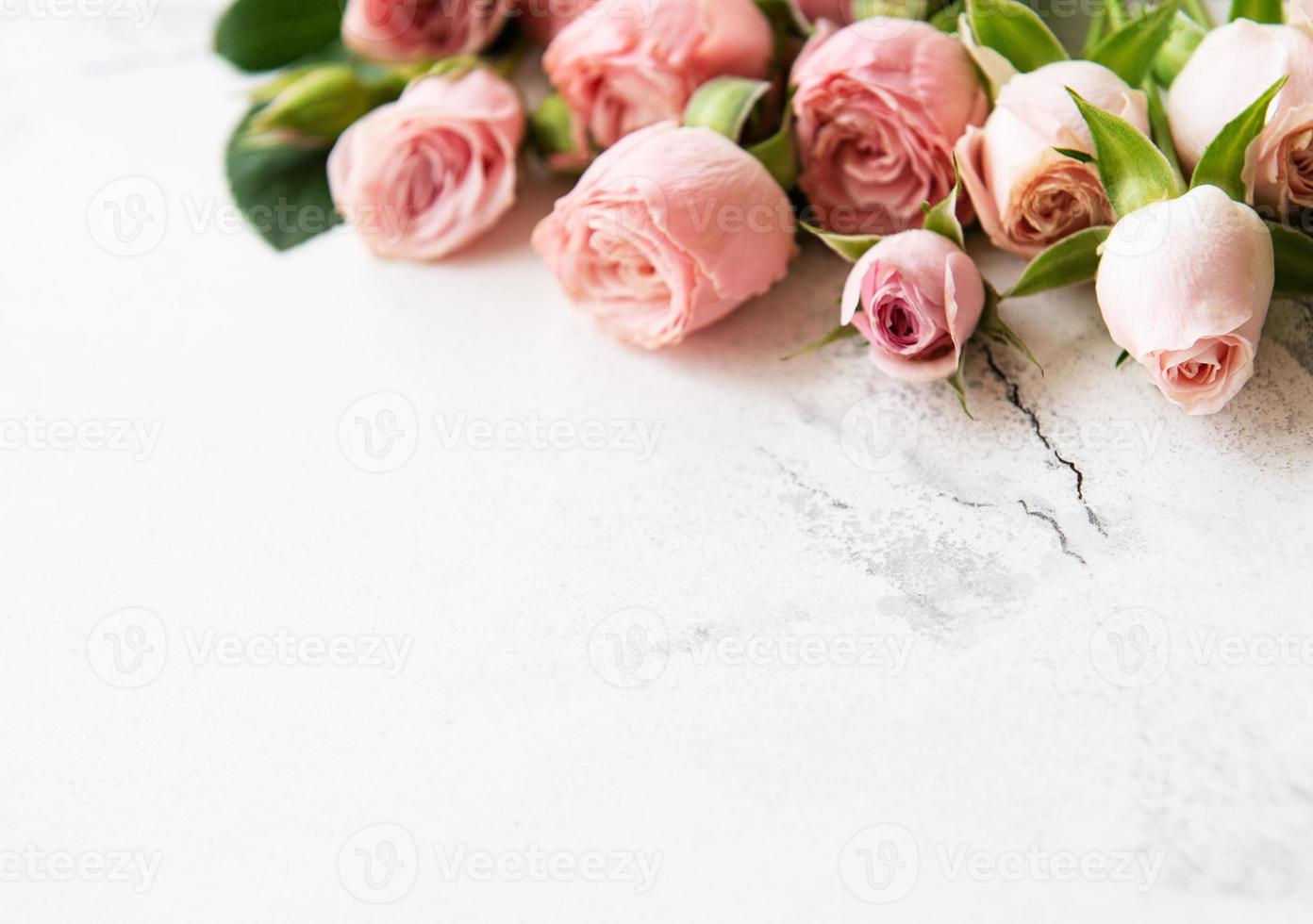 moldura de rosas rosa foto