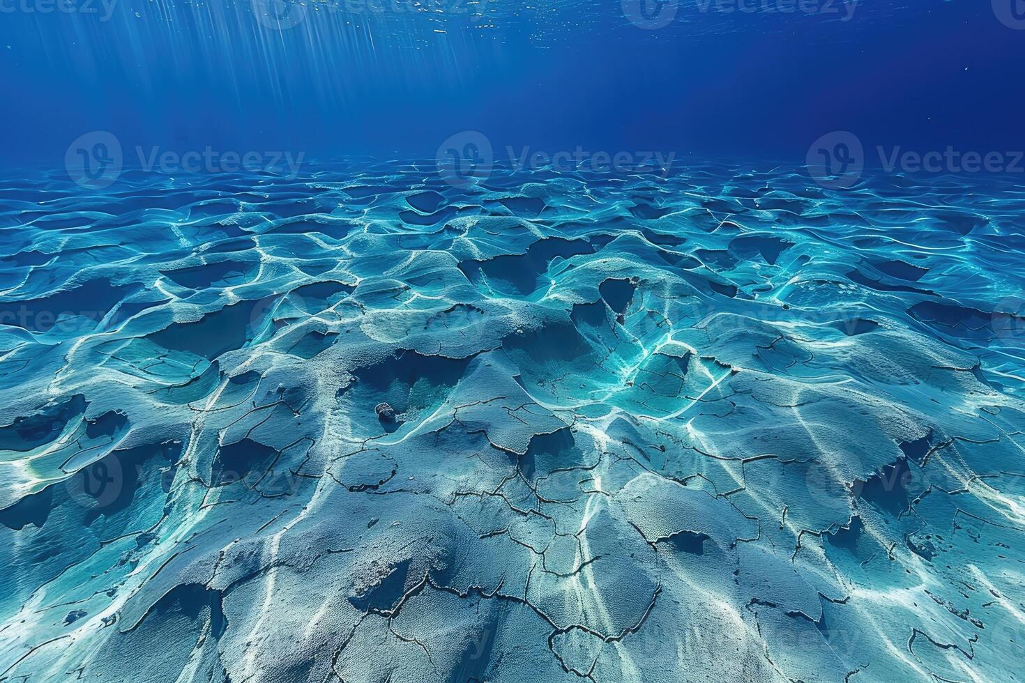 profundo mar embaixo da agua profissional publicidade Comida fotografia foto