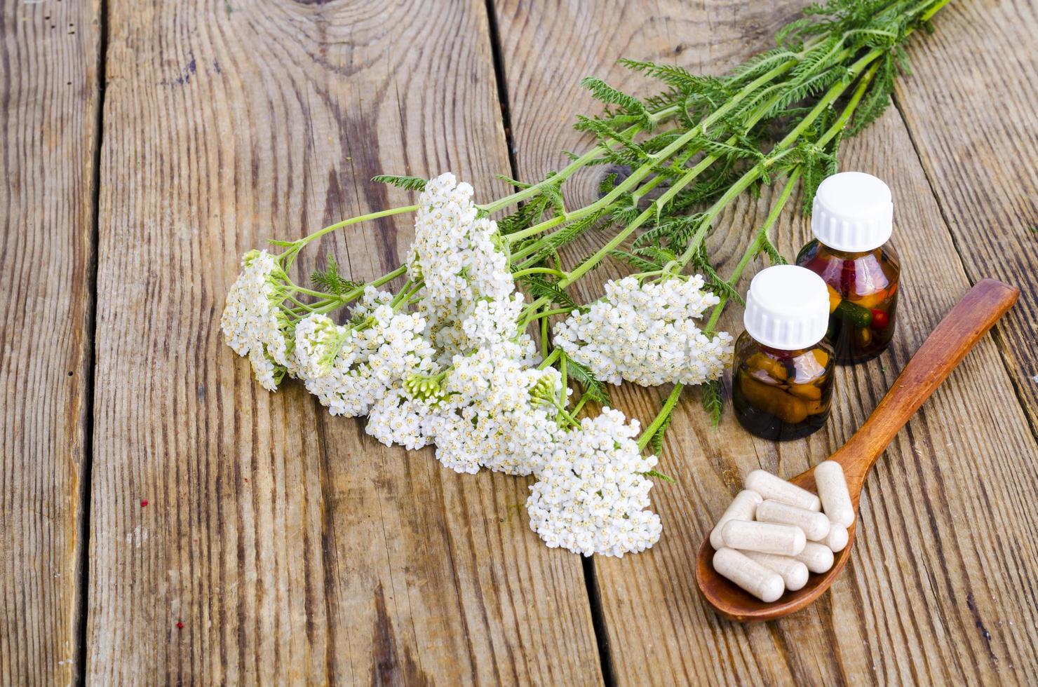 conceito de medicina tradicional, plantas medicinais e cápsulas de ervas foto