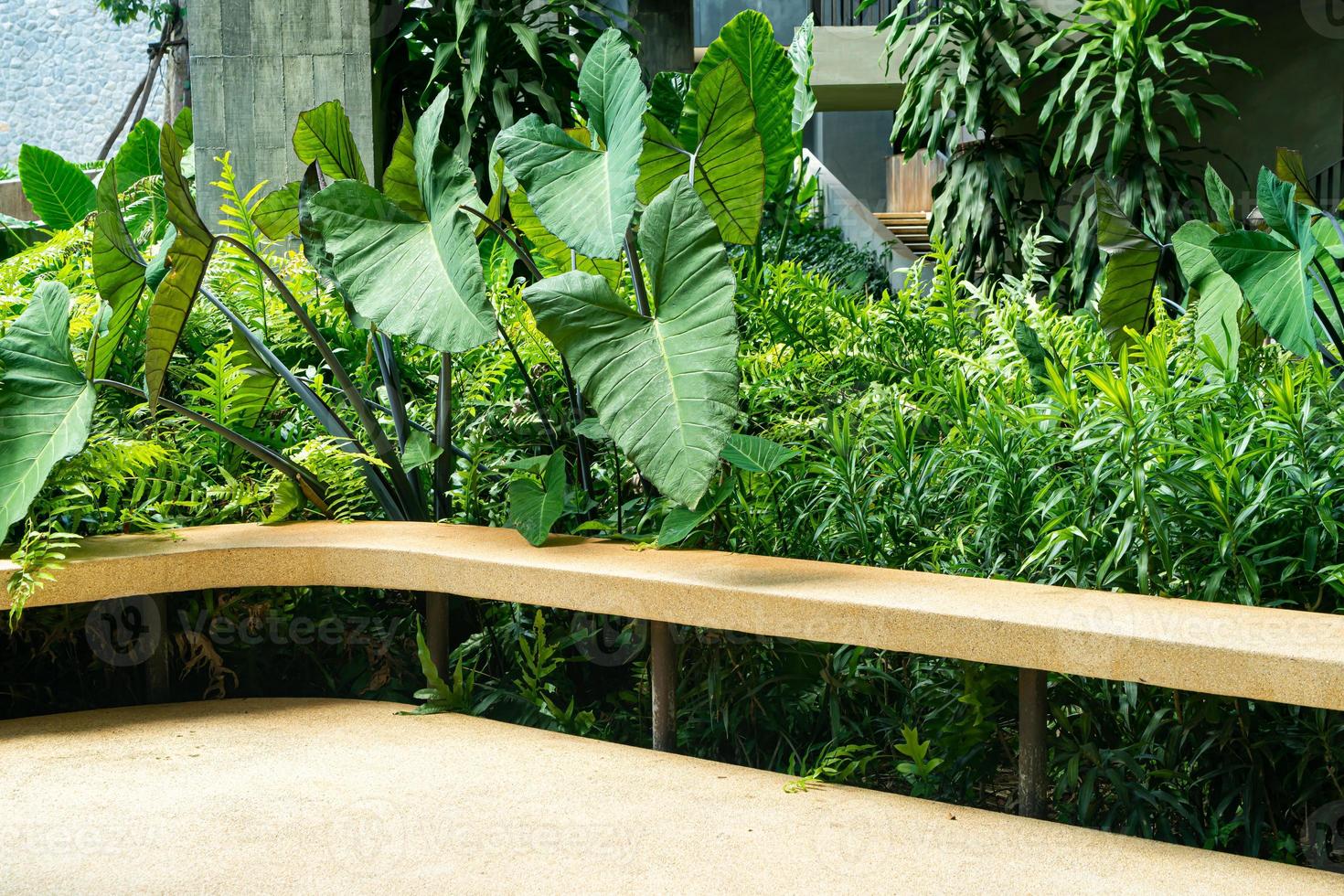 banco vazio com fundo de árvore tropical foto