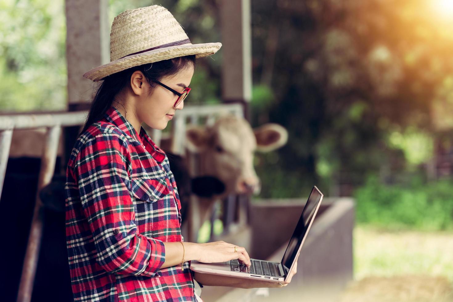 agricultura indústria conceito jovem mulher trabalhando em gado de fazenda de vaca. usando laptop para verificar a qualidade na fazenda foto