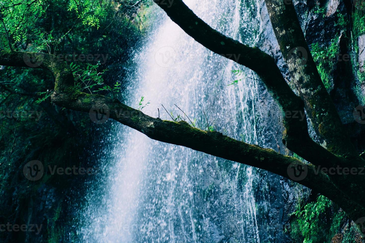 bela cachoeira verde na floresta verde na selva consiste em água foto