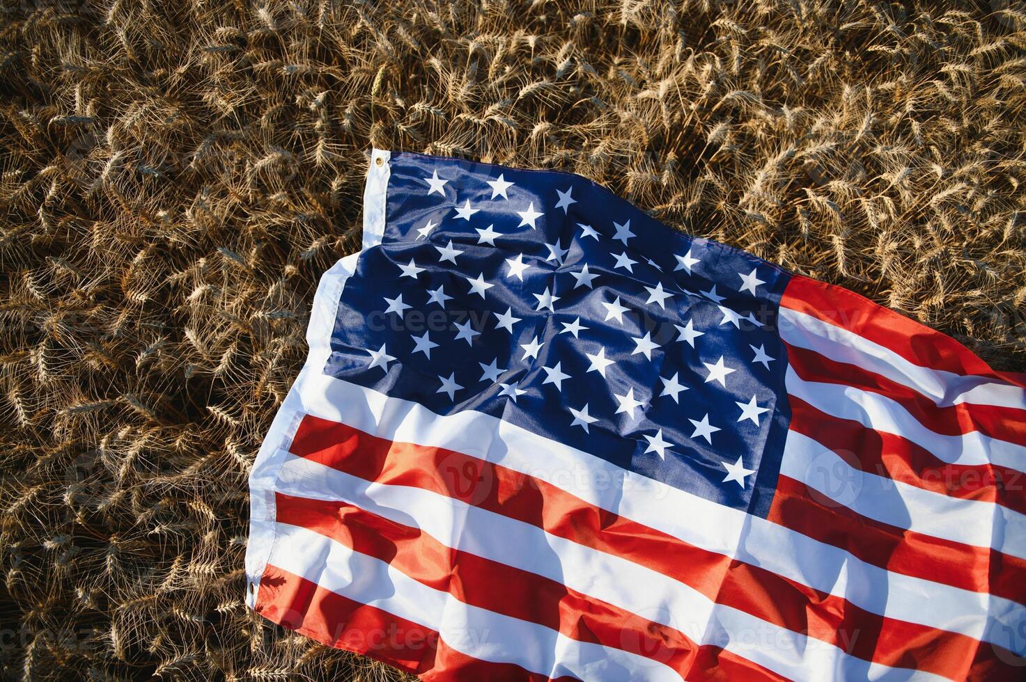EUA americano bandeira espalhado em a dourado trigo campo. foto