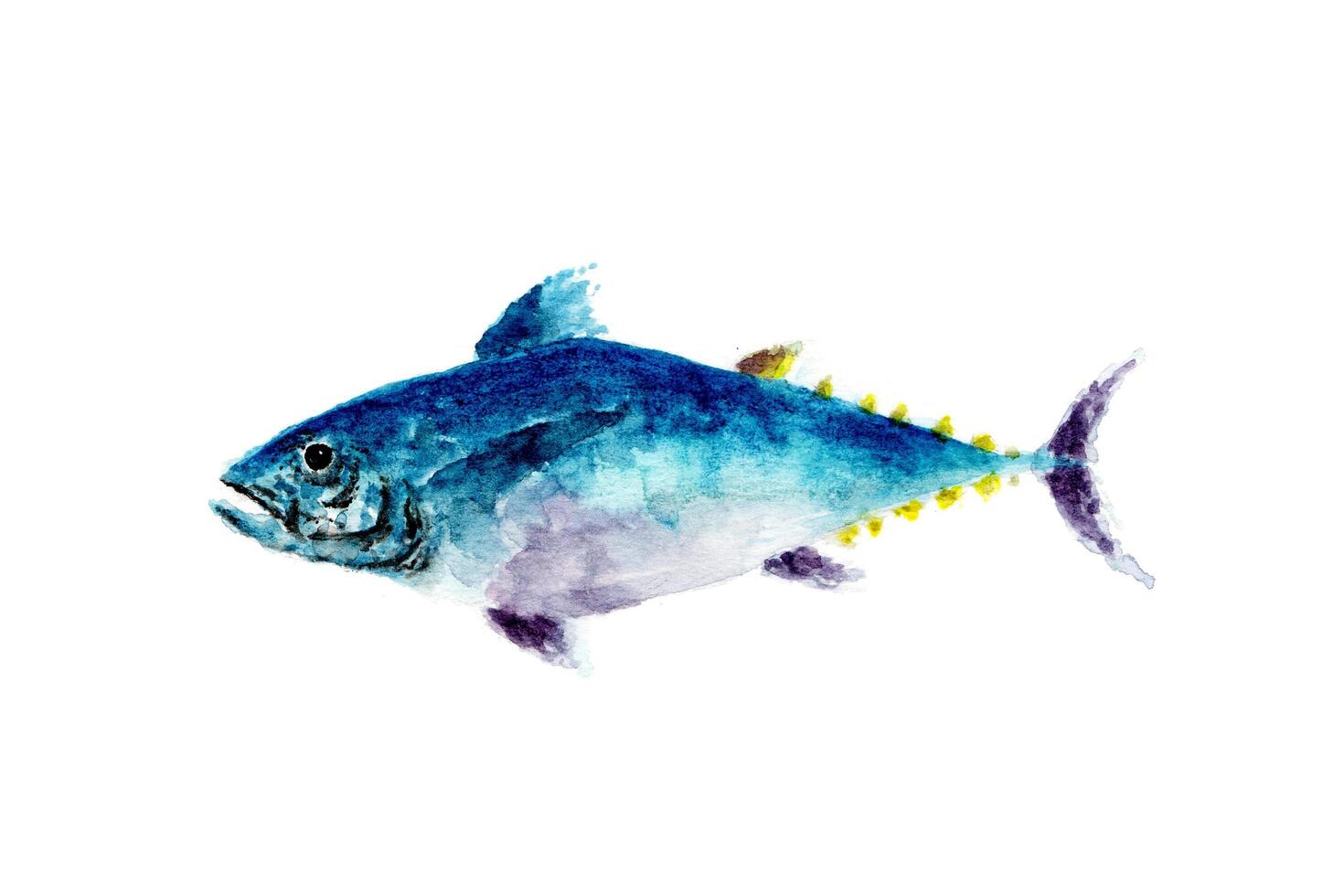 ilustração em aquarela de um selo. um desenho criativo pintado à mão de animais do oceano. elemento artístico para decoração de tema náutico ou projeto educacional. foto