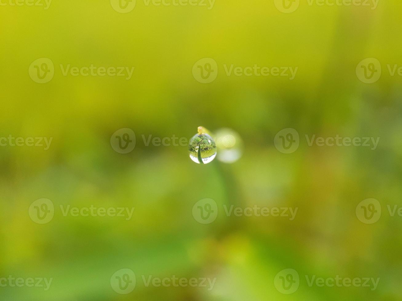 close-up da gota d'água no final da folha com desfoque de fundo verde foto