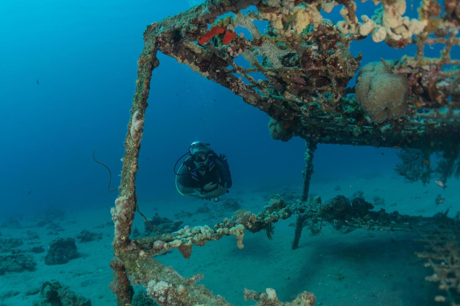 poluição do mar em metais e outros tipos de lixo no mar vermelho foto