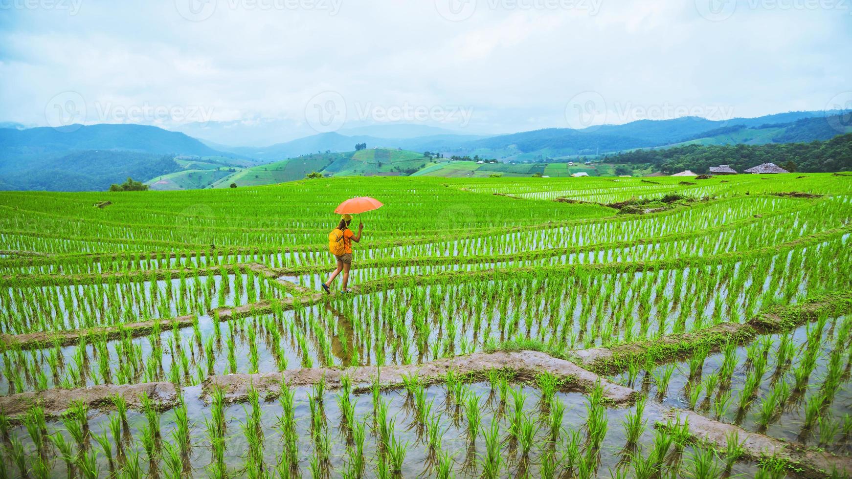 uma garota com uma mochila andando em um campo de arroz, segurando um guarda-chuva na mão. viajando na estação chuvosa. mochila de viagem foto