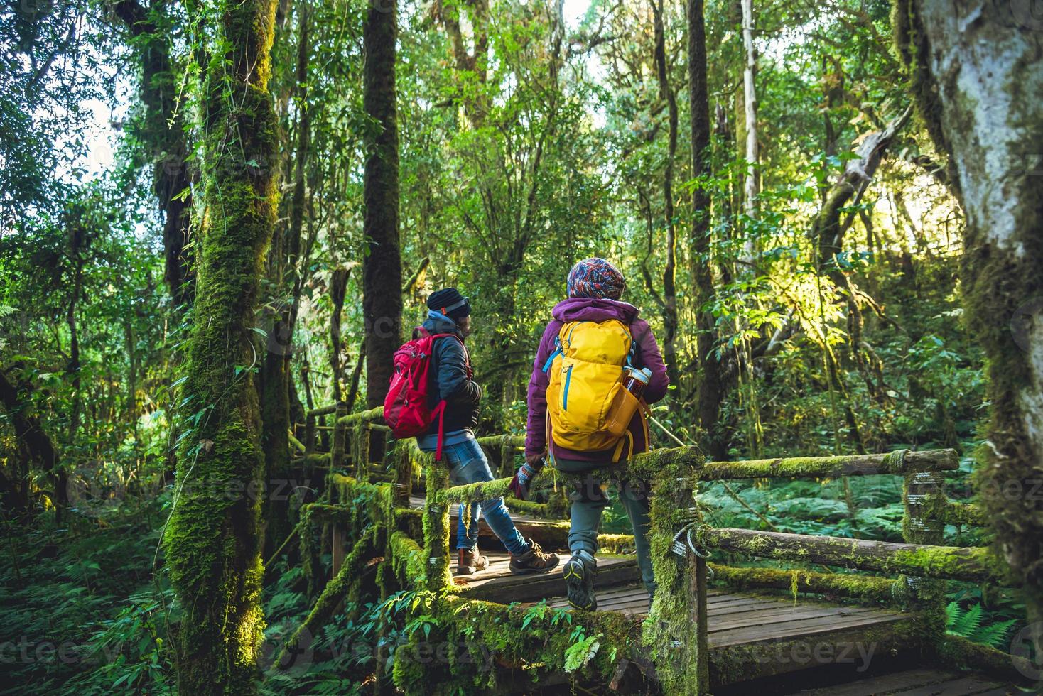 casais viajando, relaxe no inverno. aprecie uma caminhada, uma viagem a pé para estudar a natureza na floresta tropical. no angka, chiangmai foto