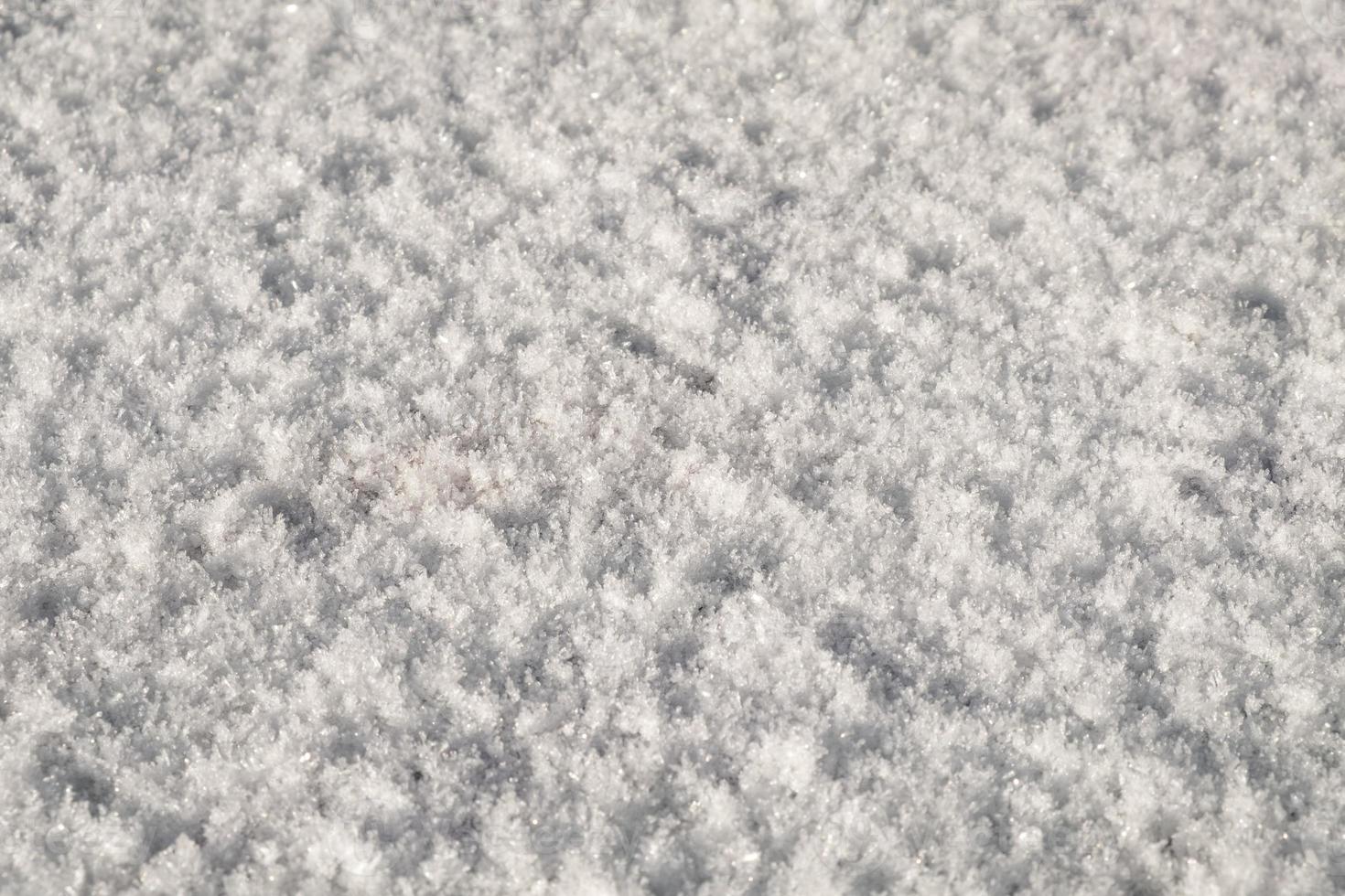 textura de geada branca com neve, fundo de inverno gelado foto