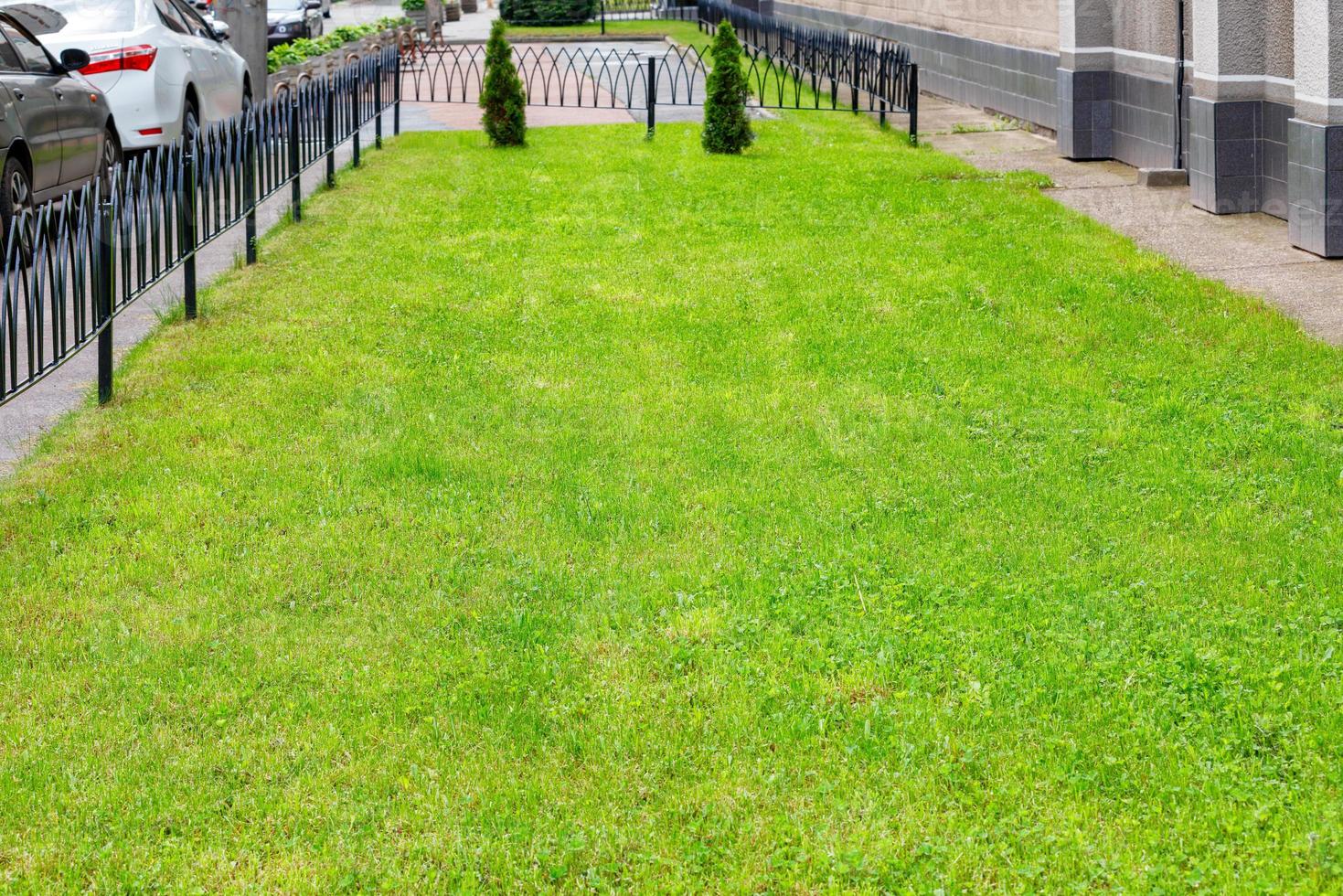 um gramado verde com grama aparada e ciprestes delgados é cercado por uma cerca de metal encaracolada ao longo da rua da cidade. foto