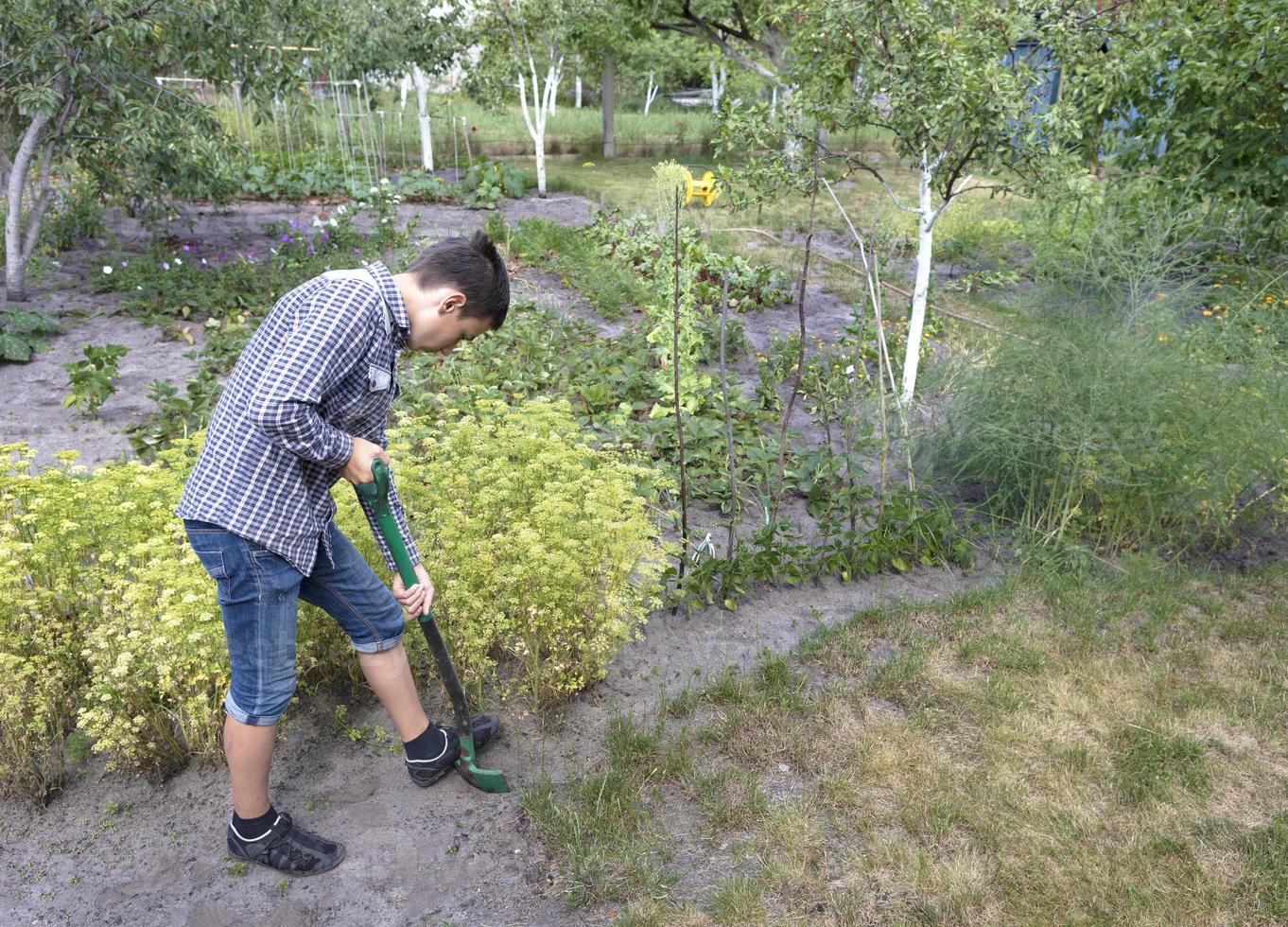 um jovem faz trabalho sazonal no jardim foto